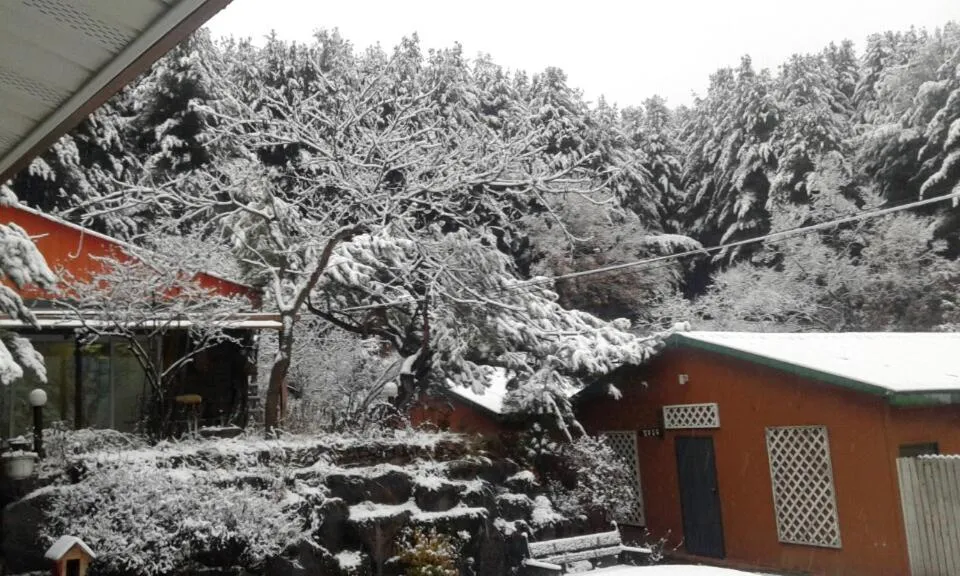 Property building in Bluesky Pension