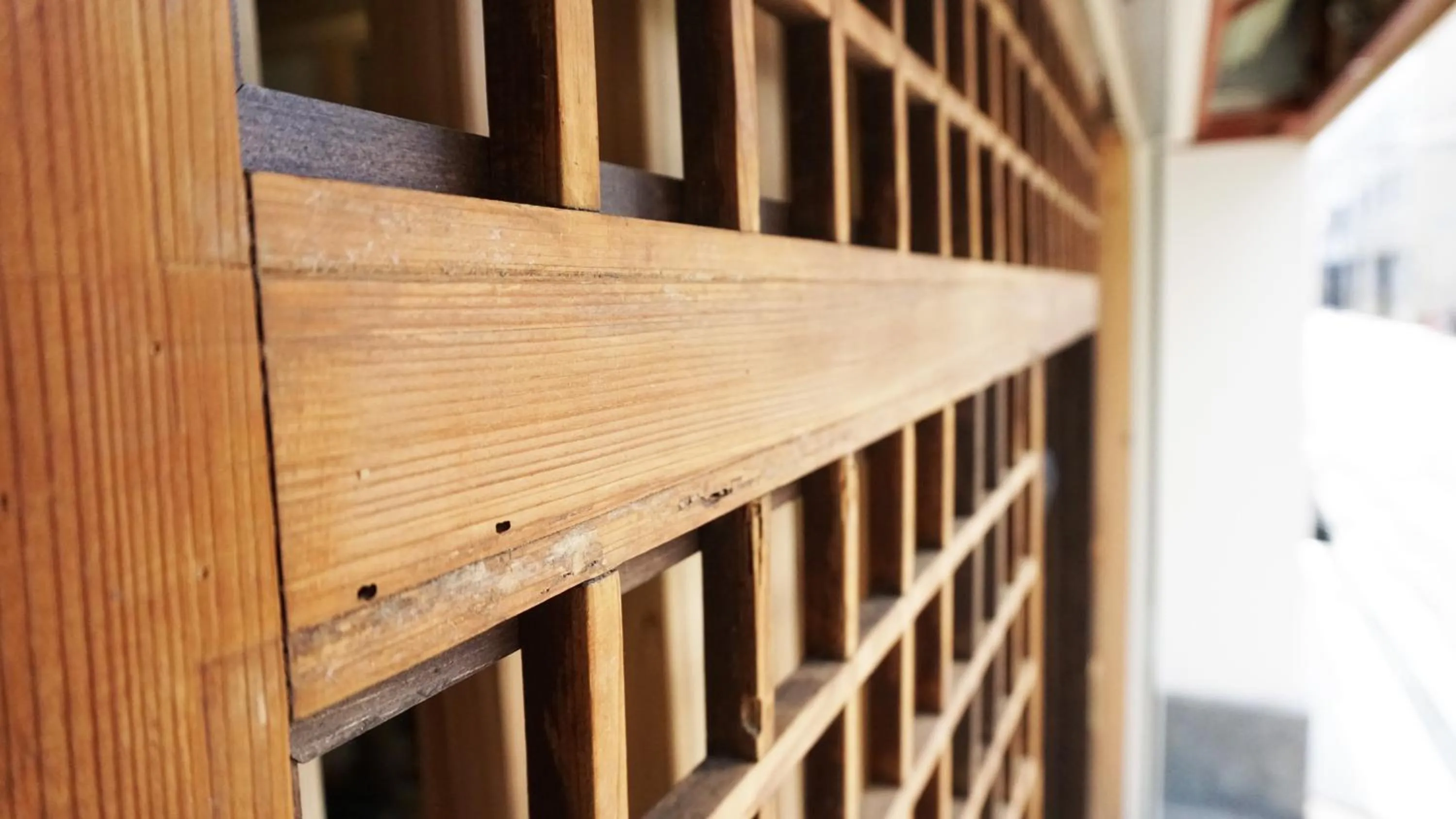 Property building in Poly Hostel 2 Namba