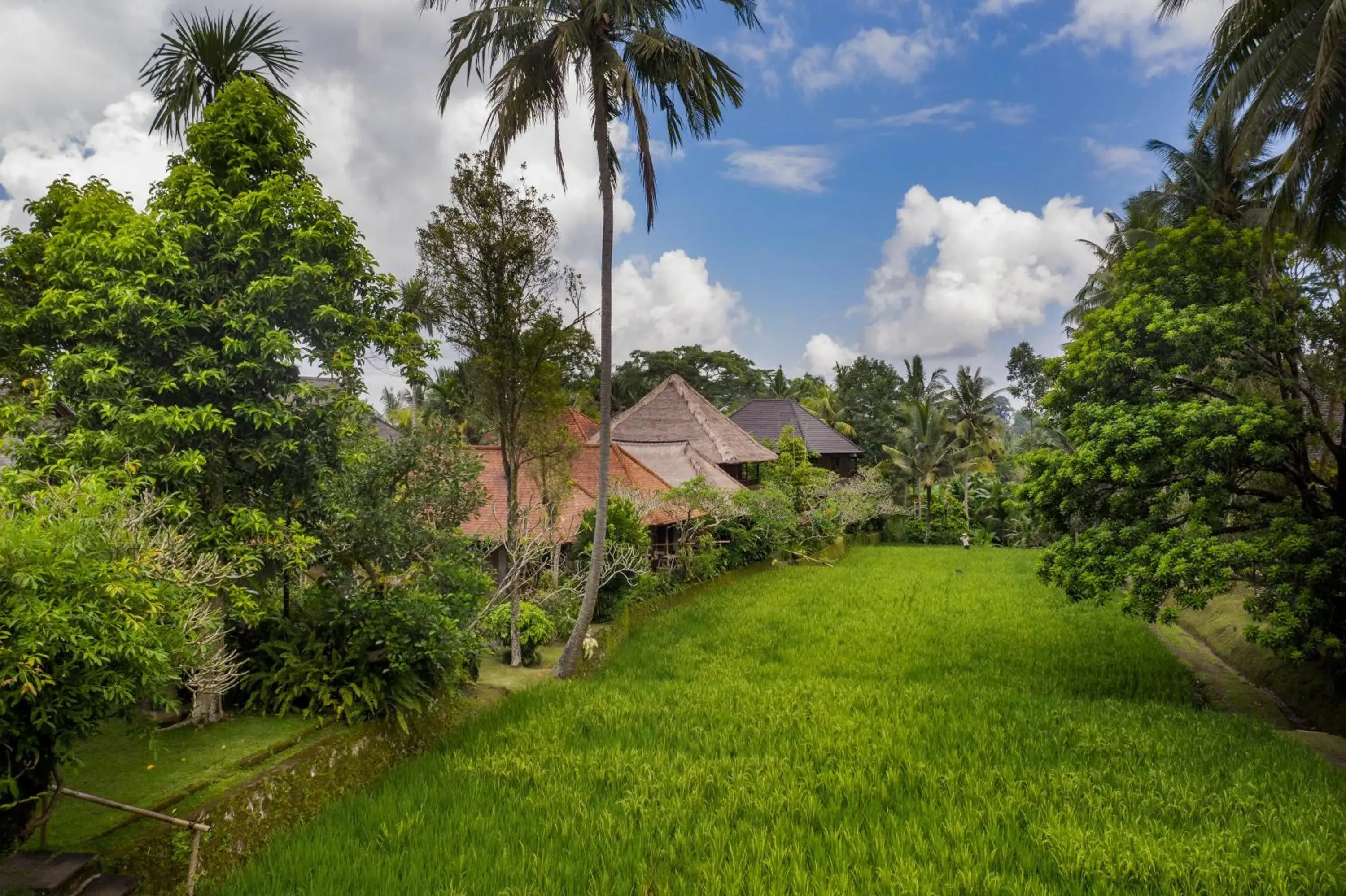 Garden view, Property Building in Ananda Ubud Resort