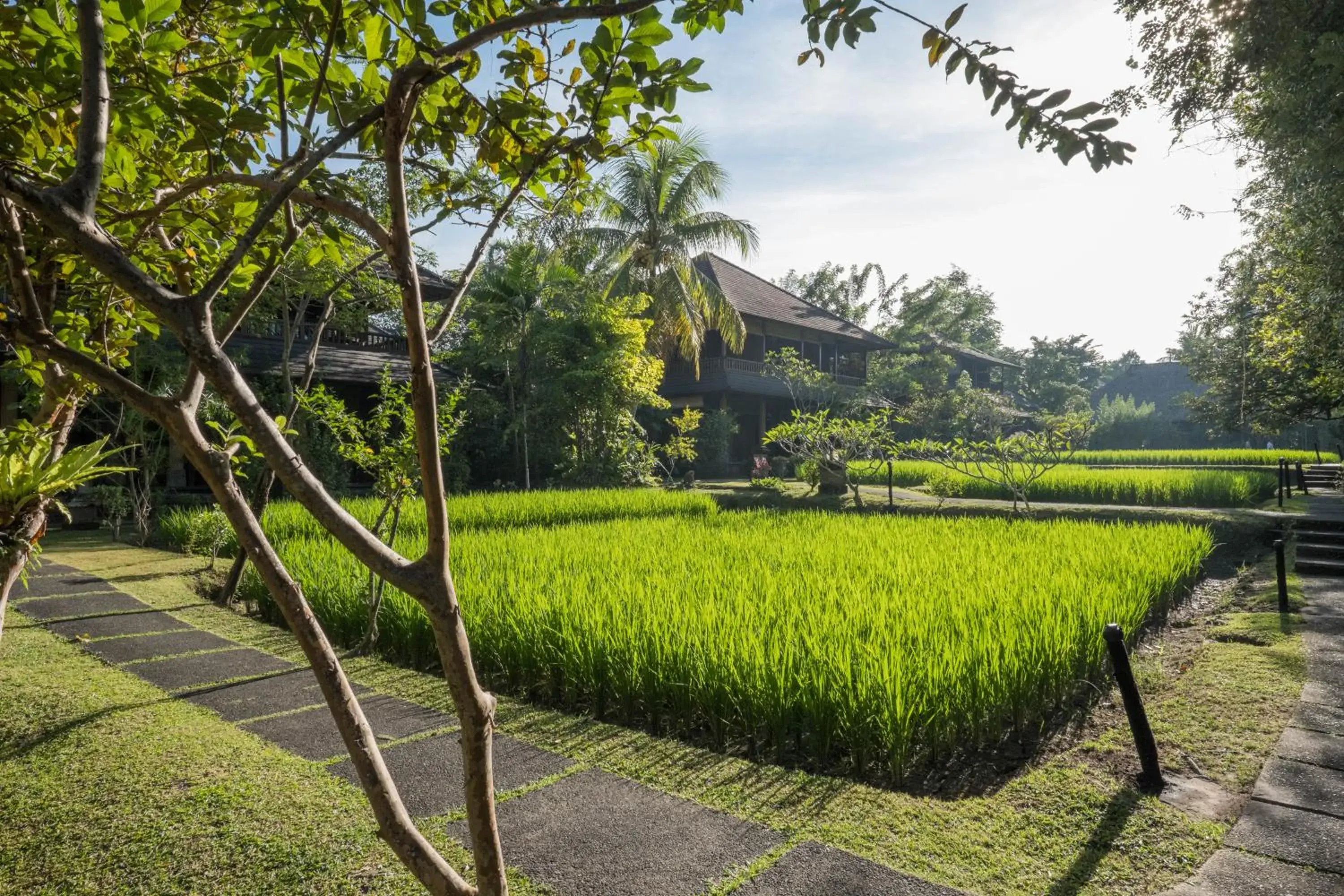 Garden in Ananda Ubud Resort