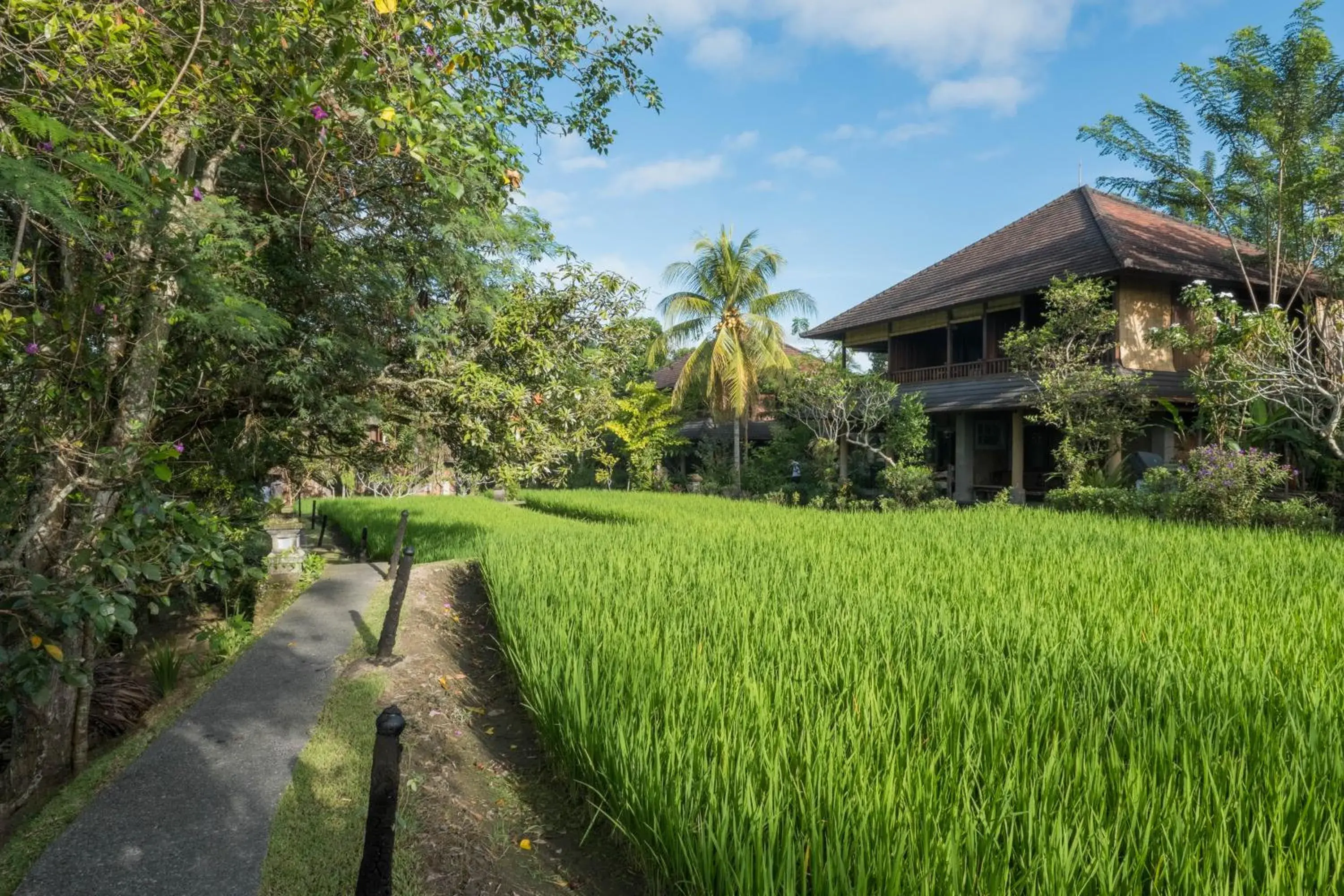 Garden in Ananda Ubud Resort