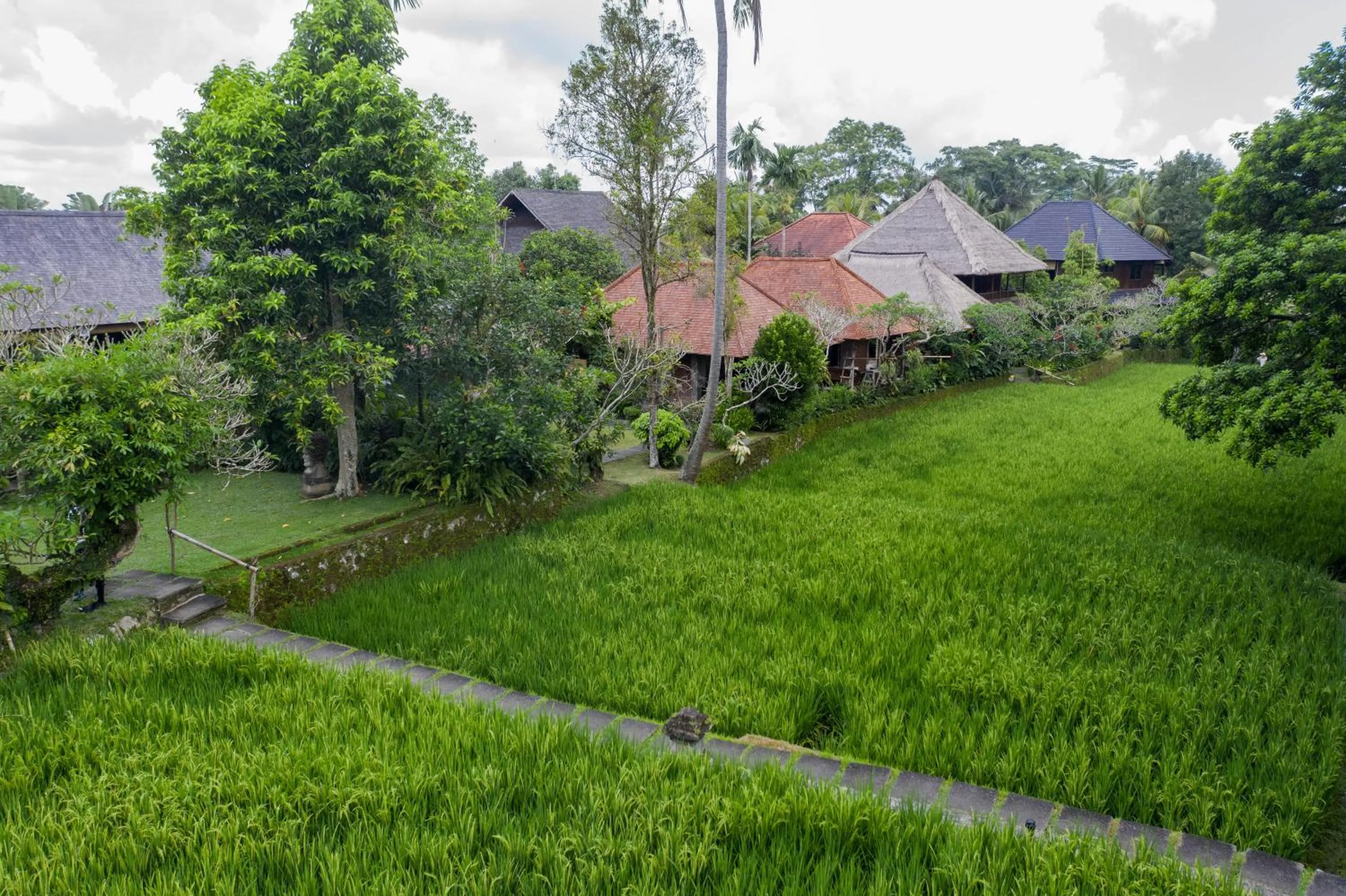 Garden view in Ananda Ubud Resort