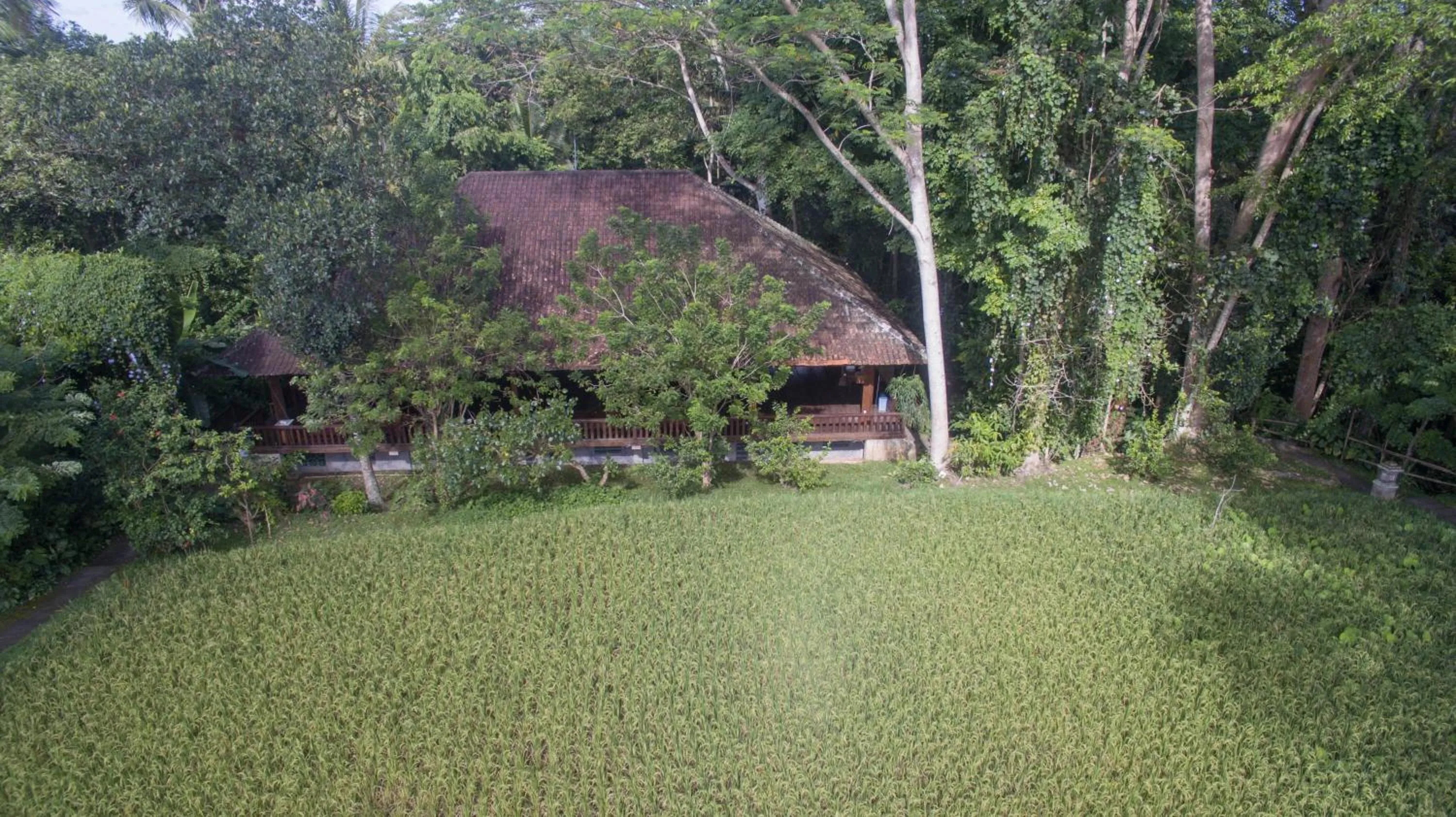 Landmark view in Ananda Ubud Resort
