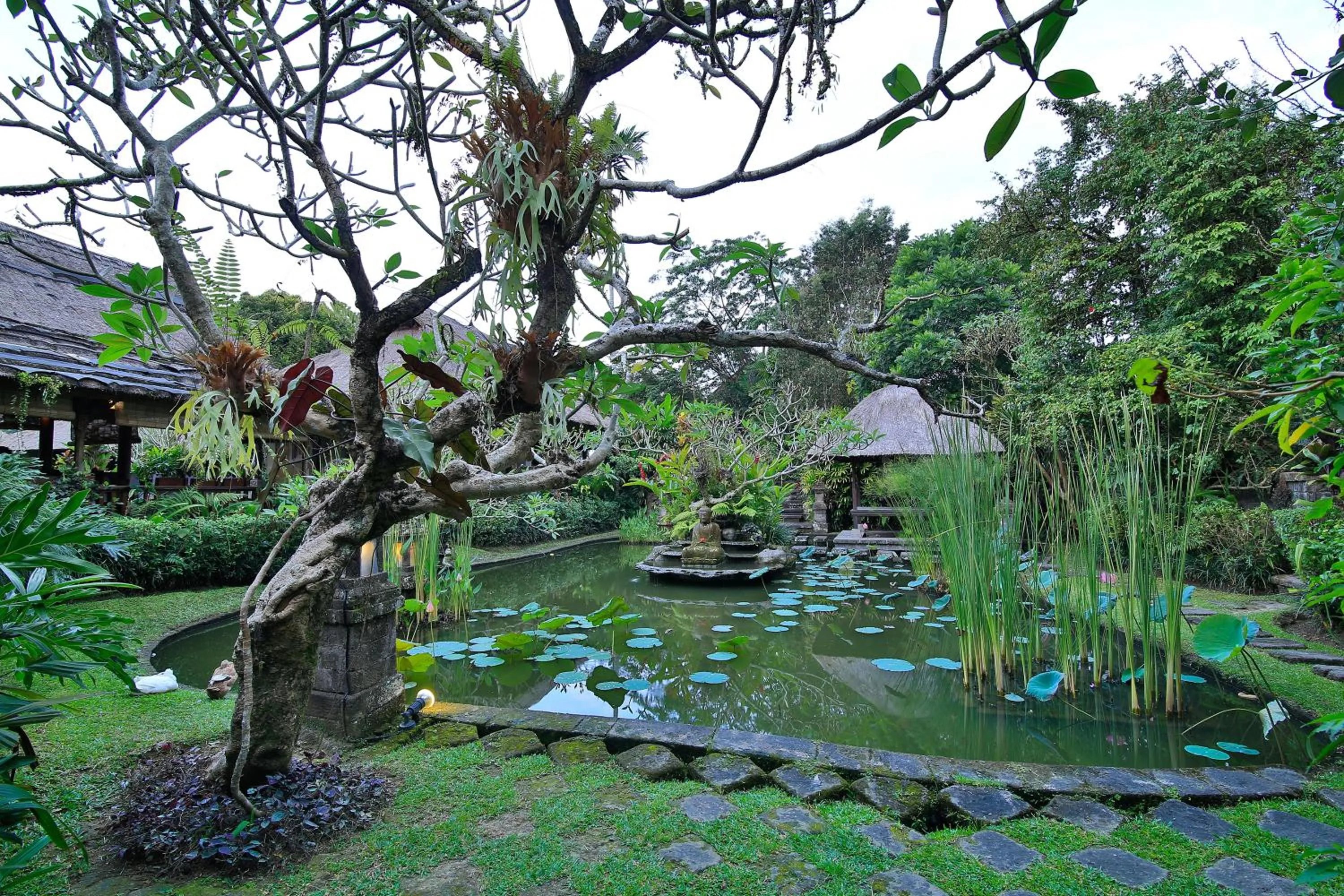 Garden in Ananda Ubud Resort