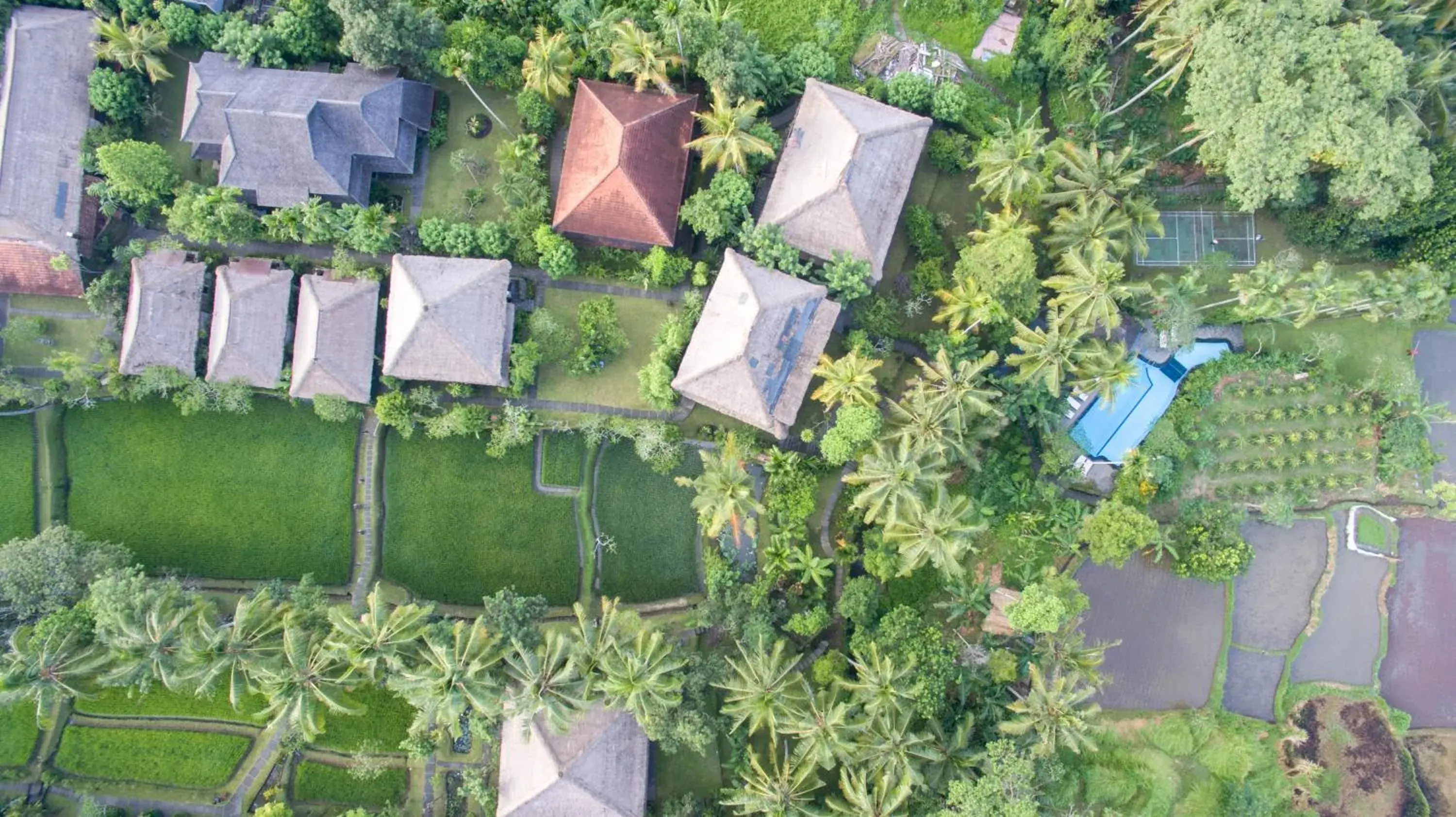 Garden, Bird's-eye View in Ananda Ubud Resort