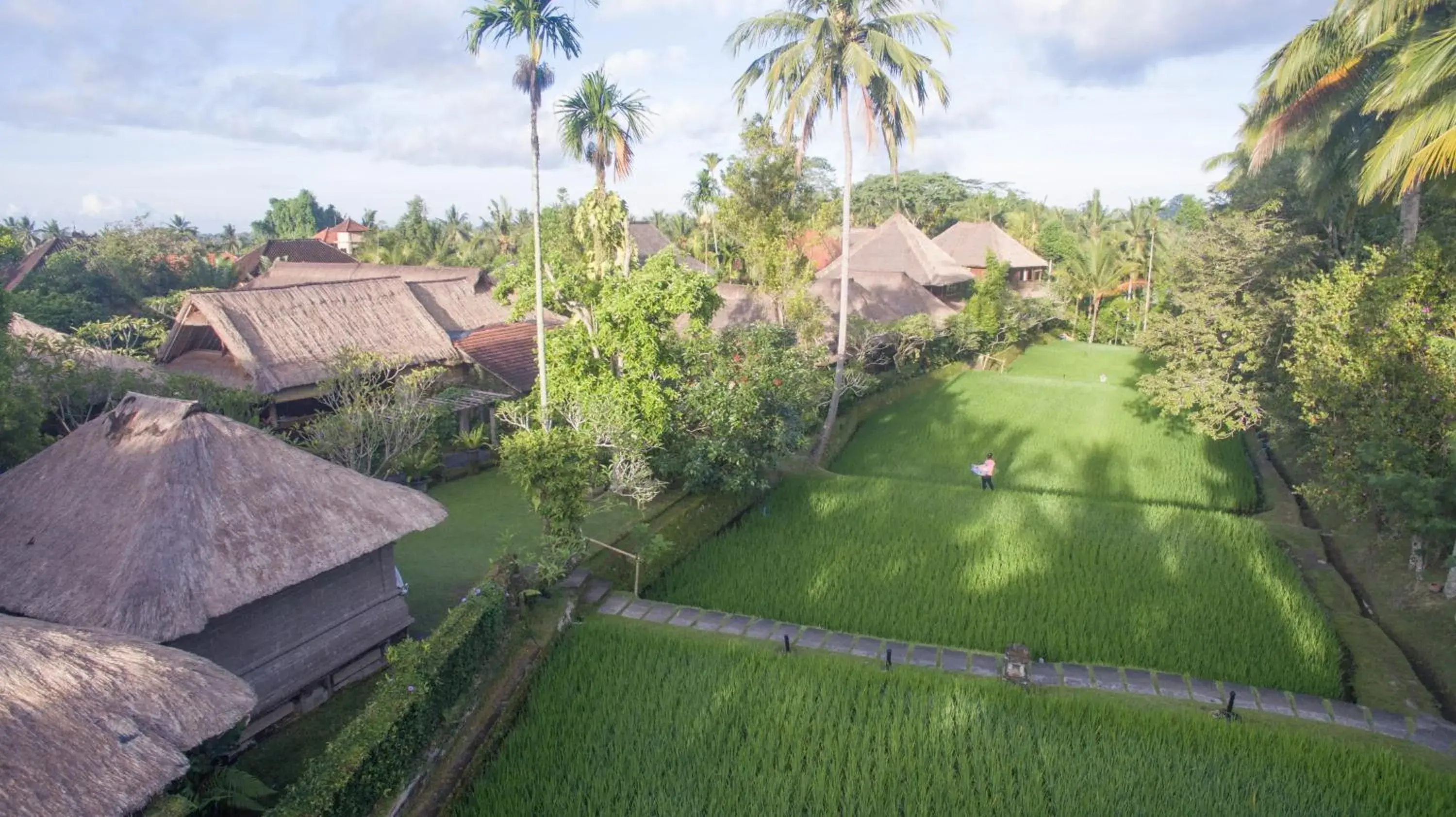 Garden in Ananda Ubud Resort