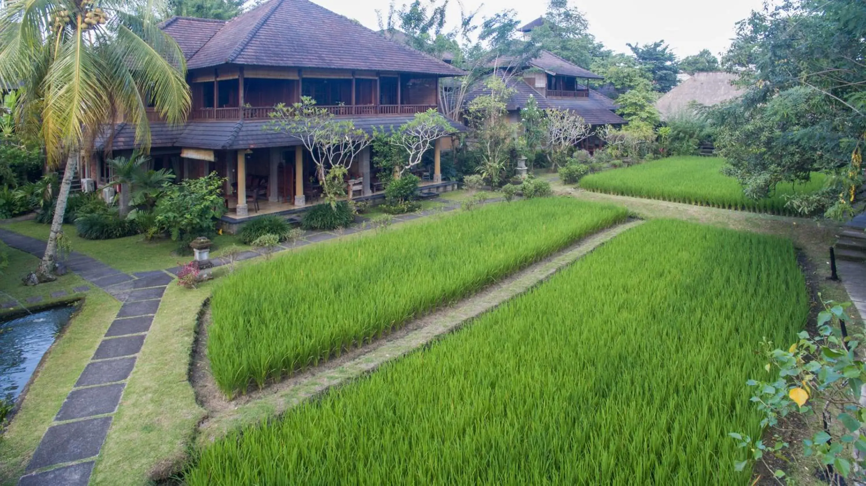 Garden in Ananda Ubud Resort