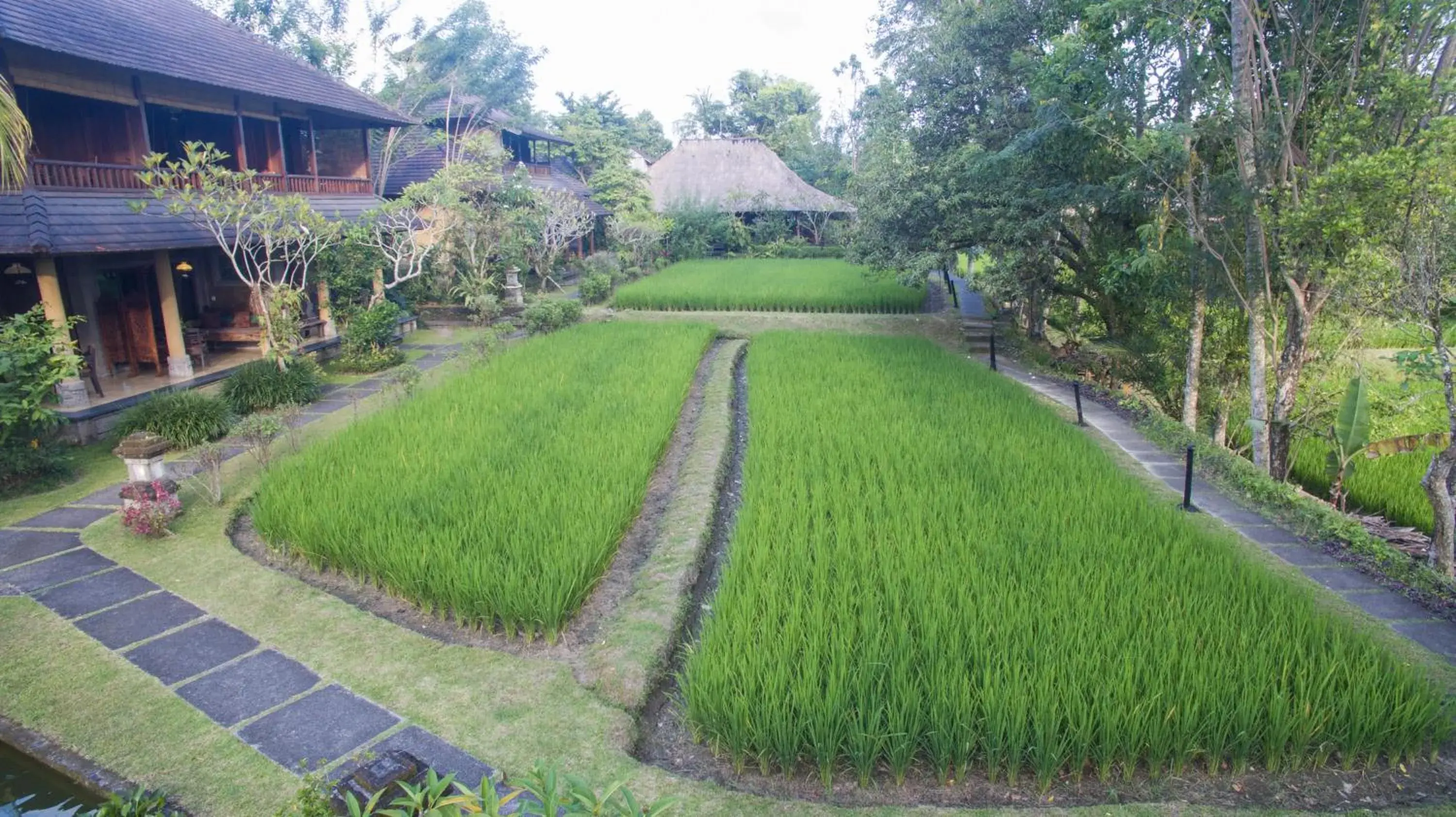 Garden in Ananda Ubud Resort