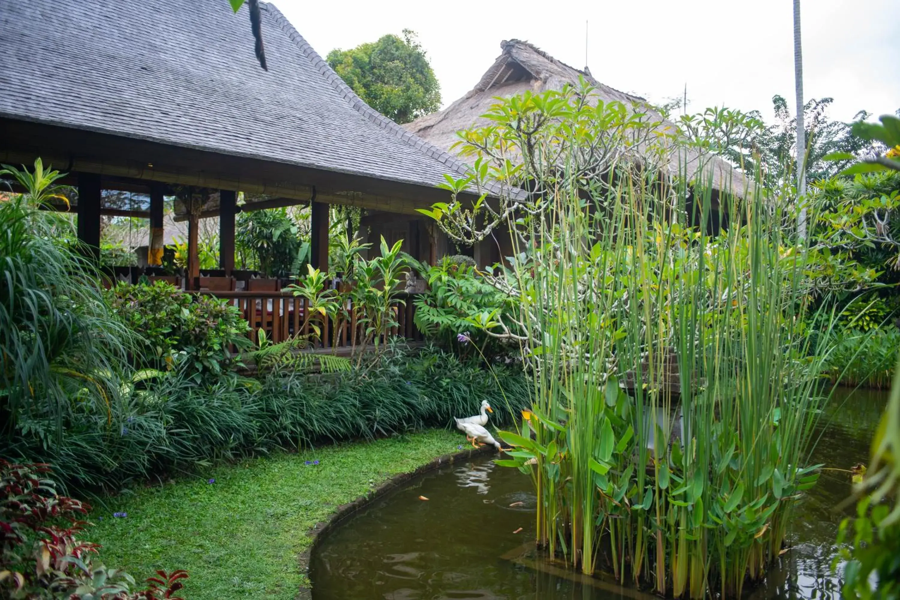 Restaurant/places to eat, Property Building in Ananda Ubud Resort