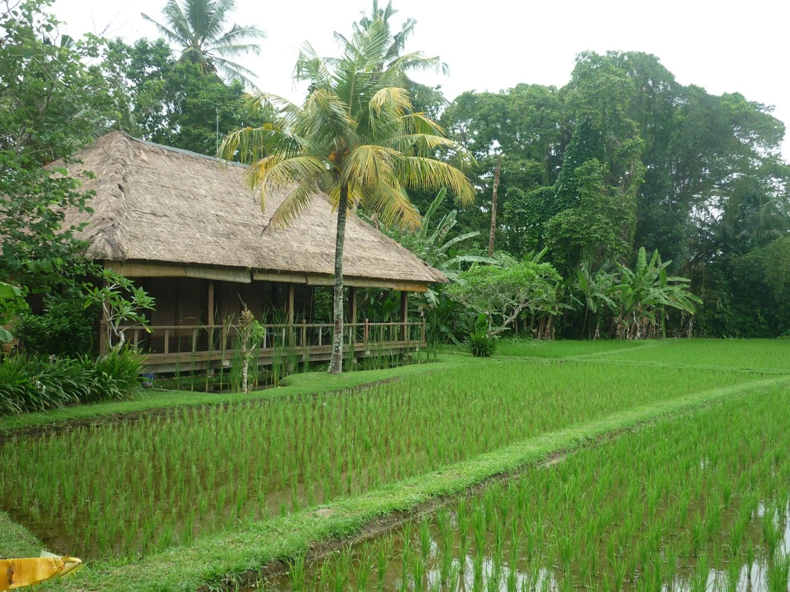 Garden in Ananda Ubud Resort