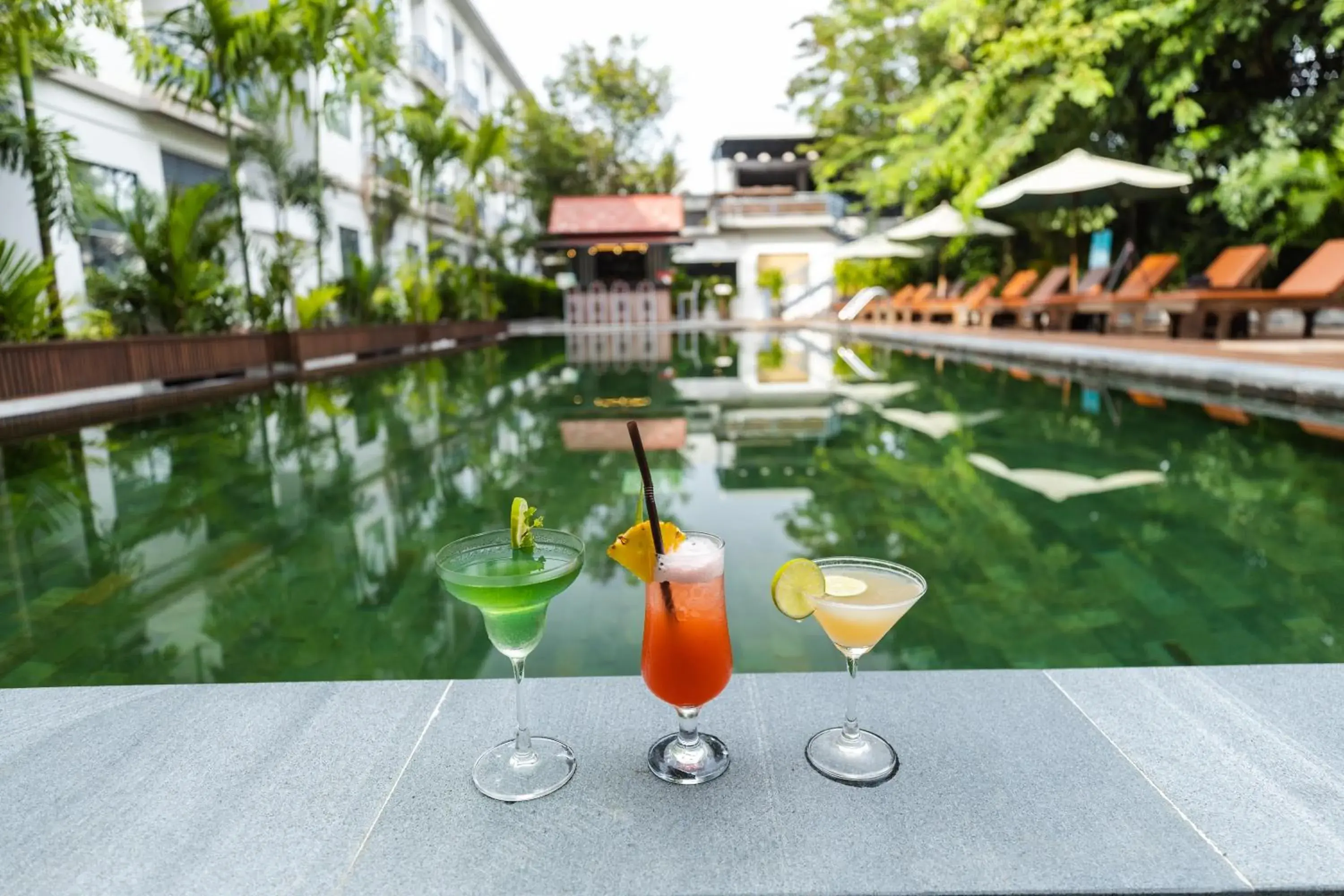 Lounge or bar in Green Amazon Residence Lounge or bar in Green Amazon Residence