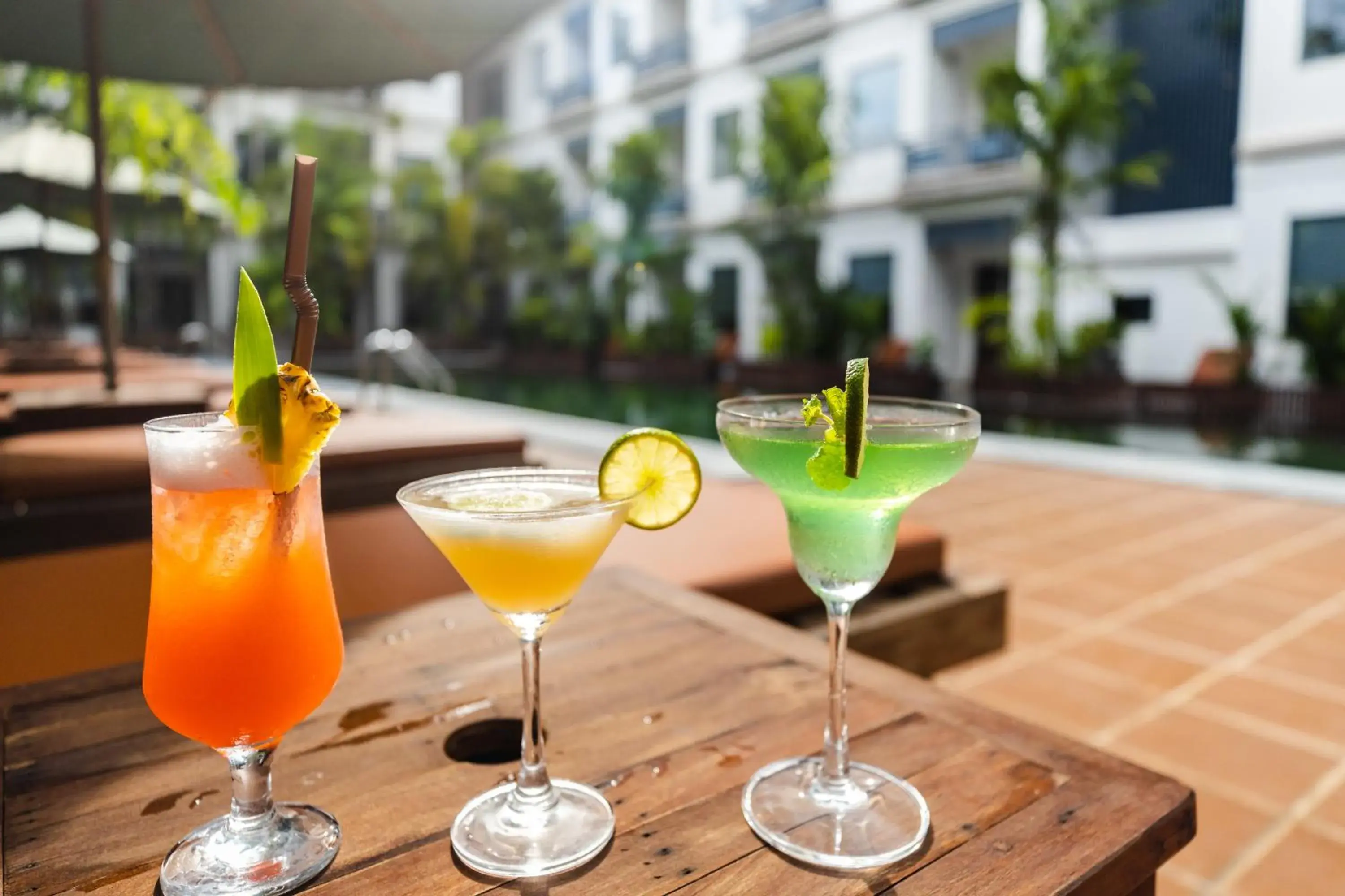 Lounge or bar in Green Amazon Residence Lounge or bar in Green Amazon Residence