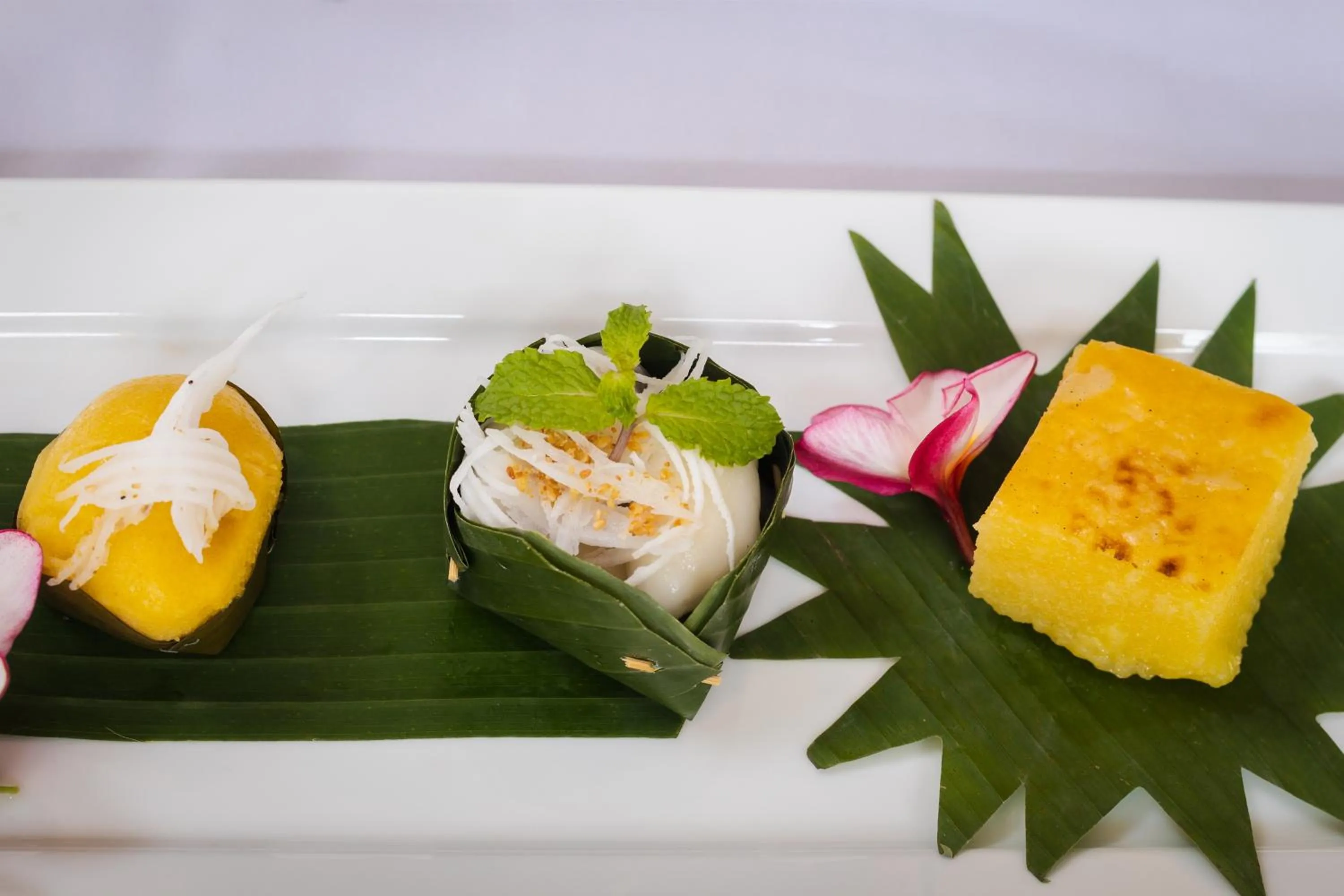 Food and drinks in Green Amazon Residence