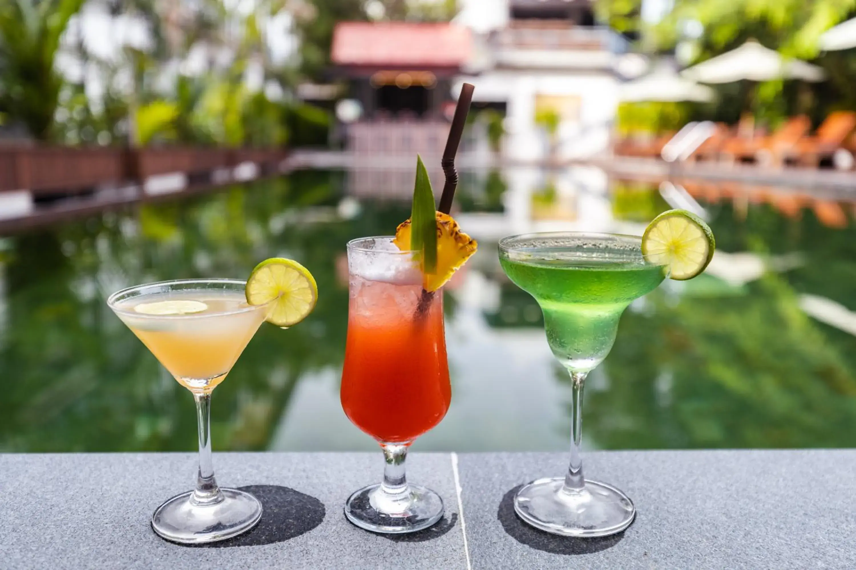 Lounge or bar in Green Amazon Residence Lounge or bar in Green Amazon Residence