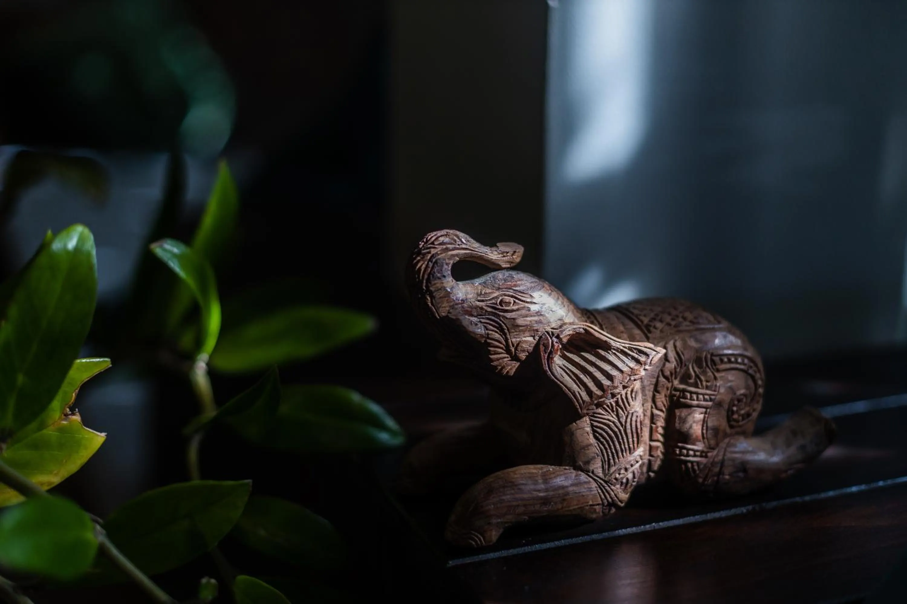 Decorative detail in Green Amazon Residence