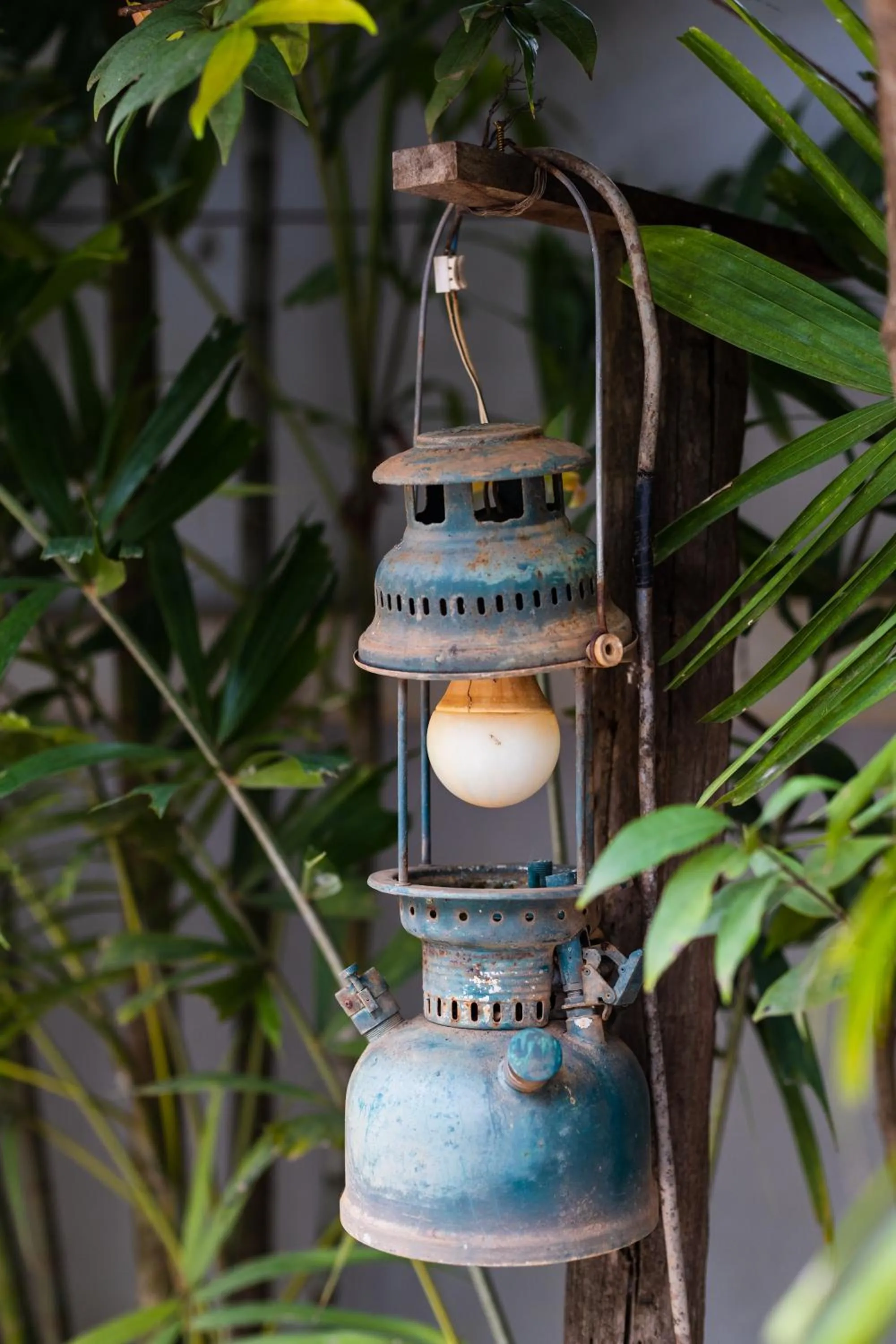 Day in Green Amazon Residence