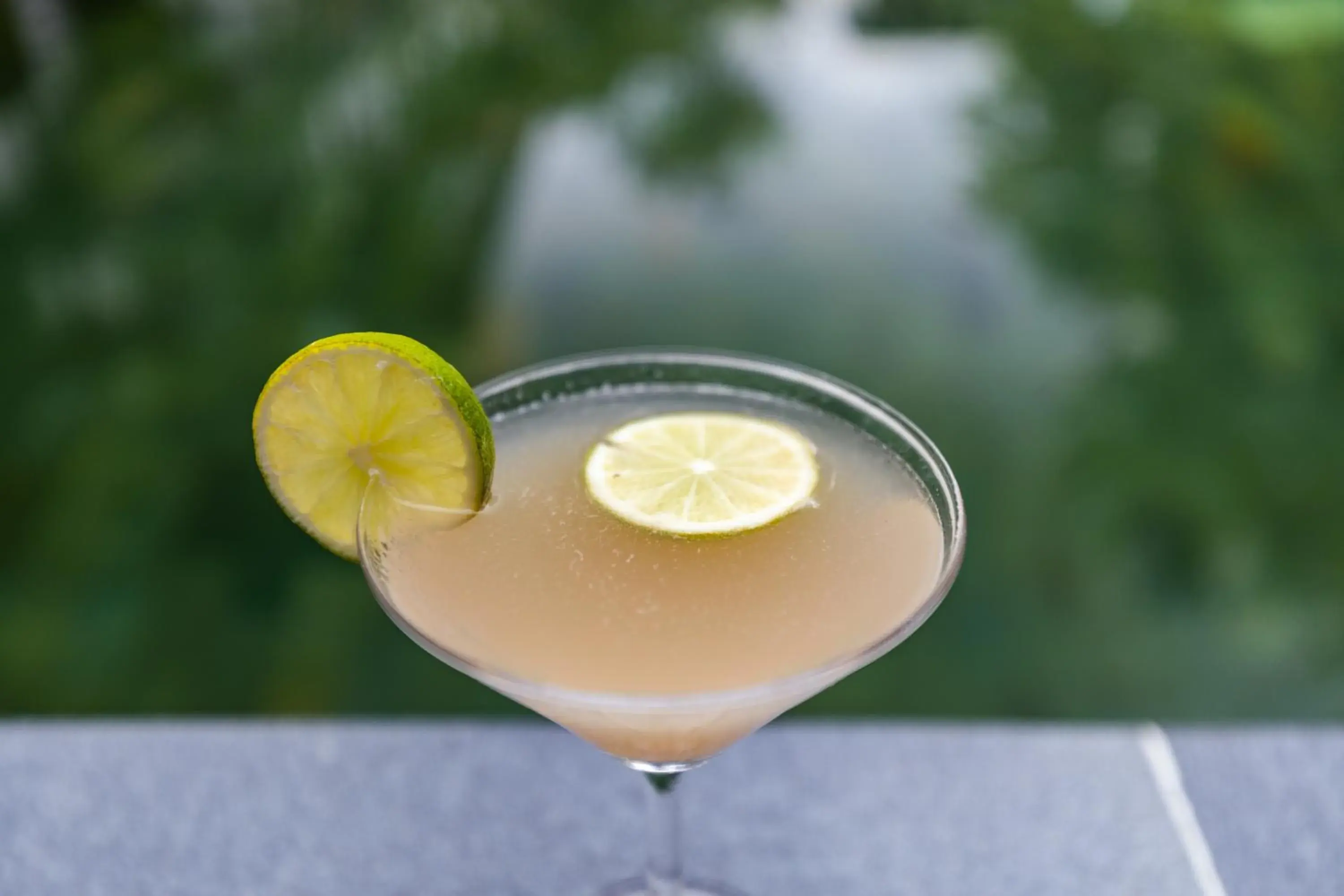 Lounge or bar in Green Amazon Residence Lounge or bar in Green Amazon Residence