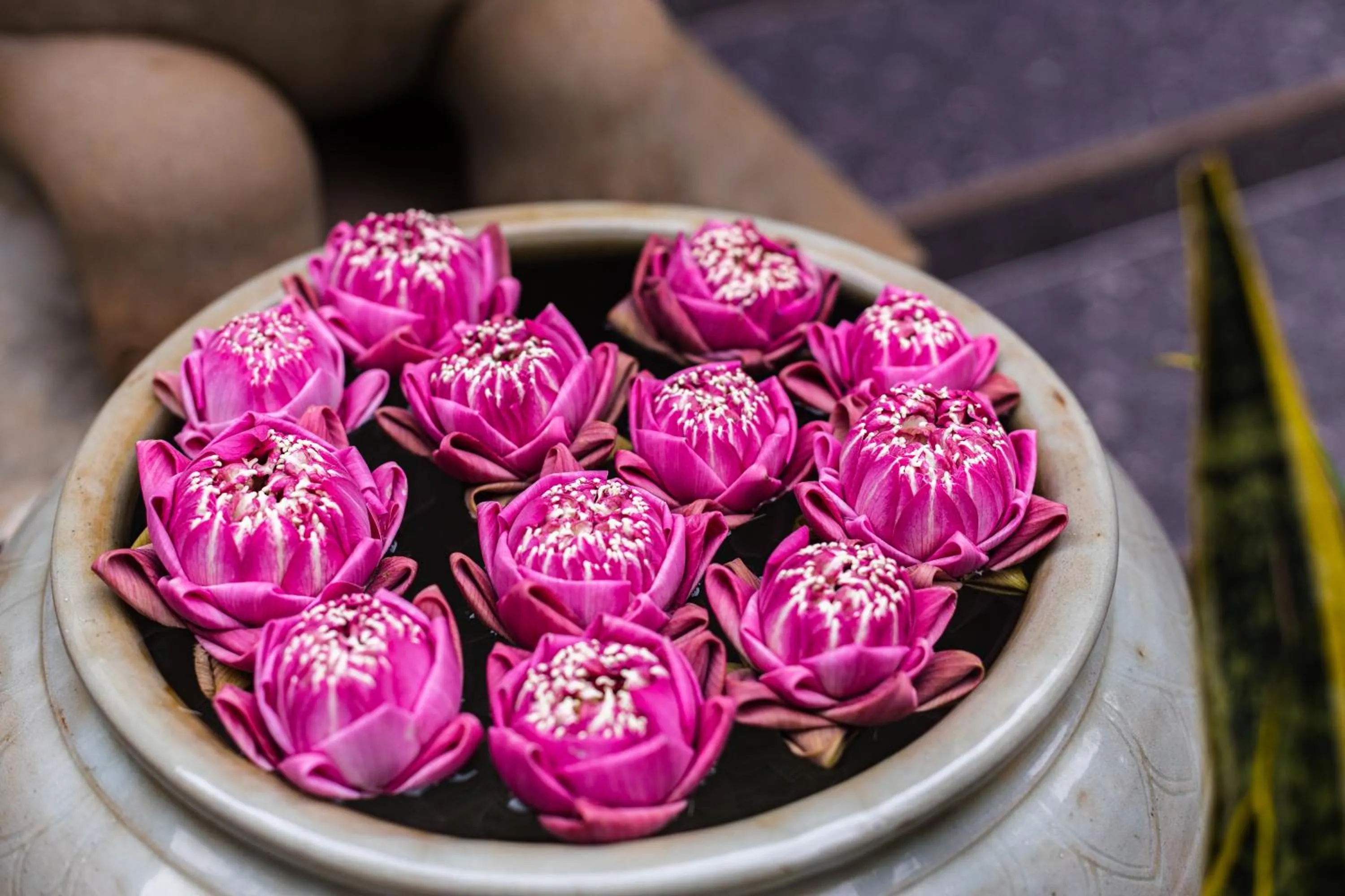 Decorative detail in Green Amazon Residence