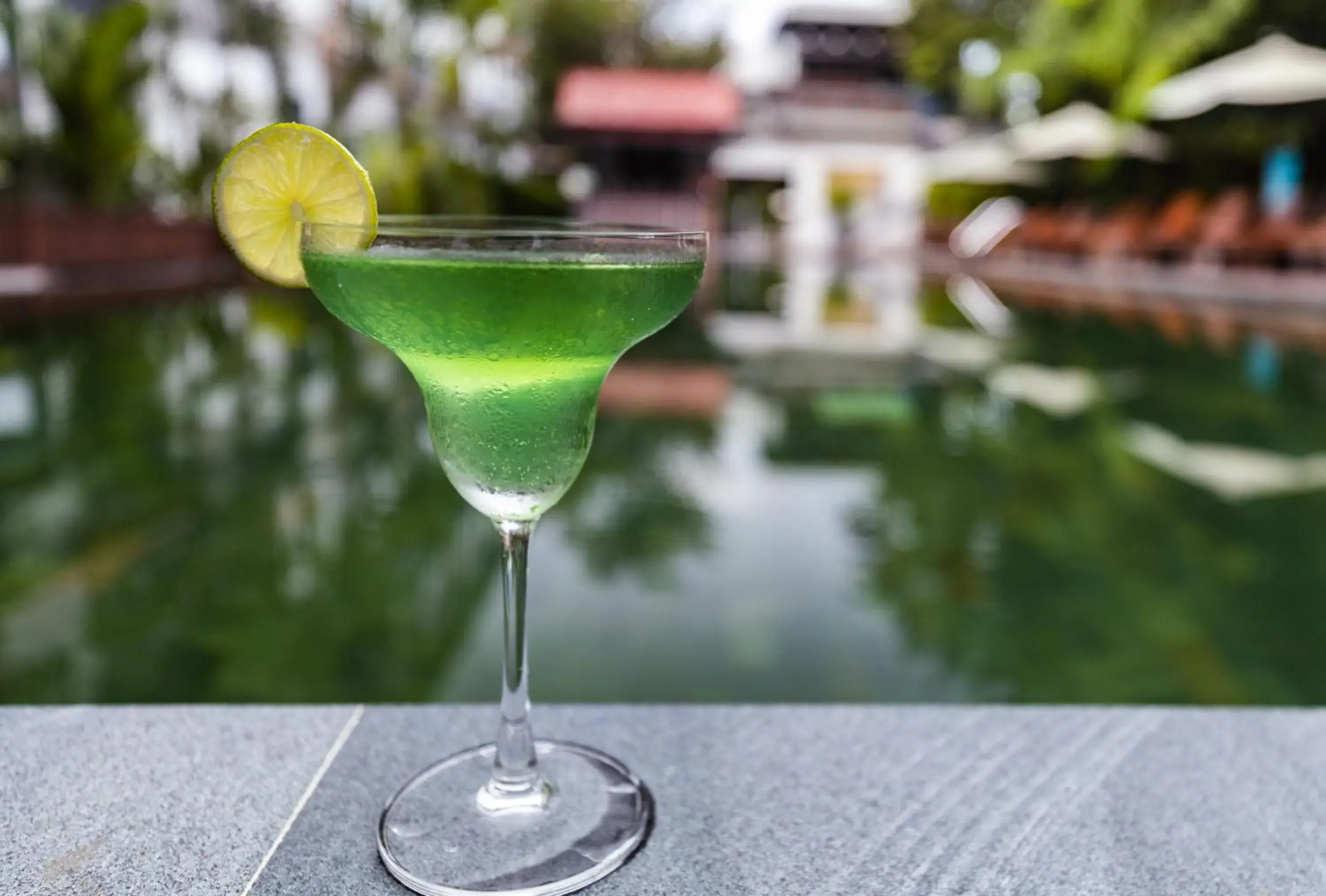 Lounge or bar in Green Amazon Residence Lounge or bar in Green Amazon Residence