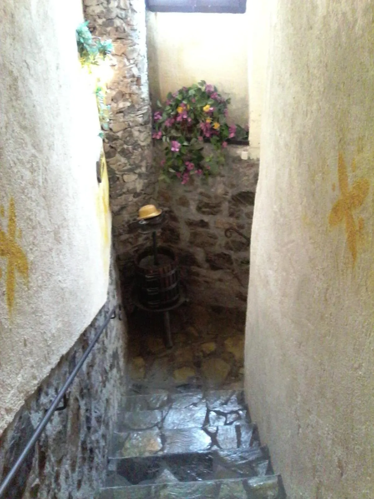 New Arcobaleno Ossegna