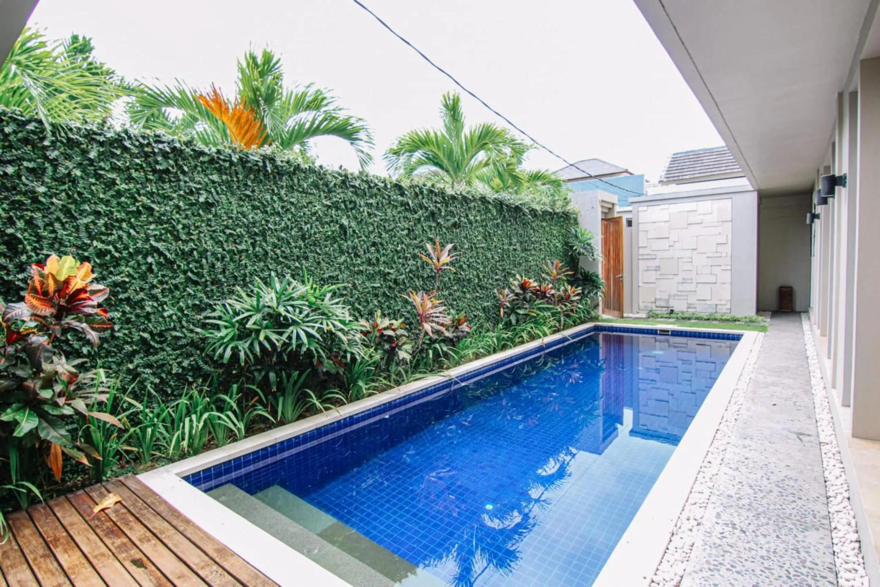 Garden in Bali Easy Living Canggu