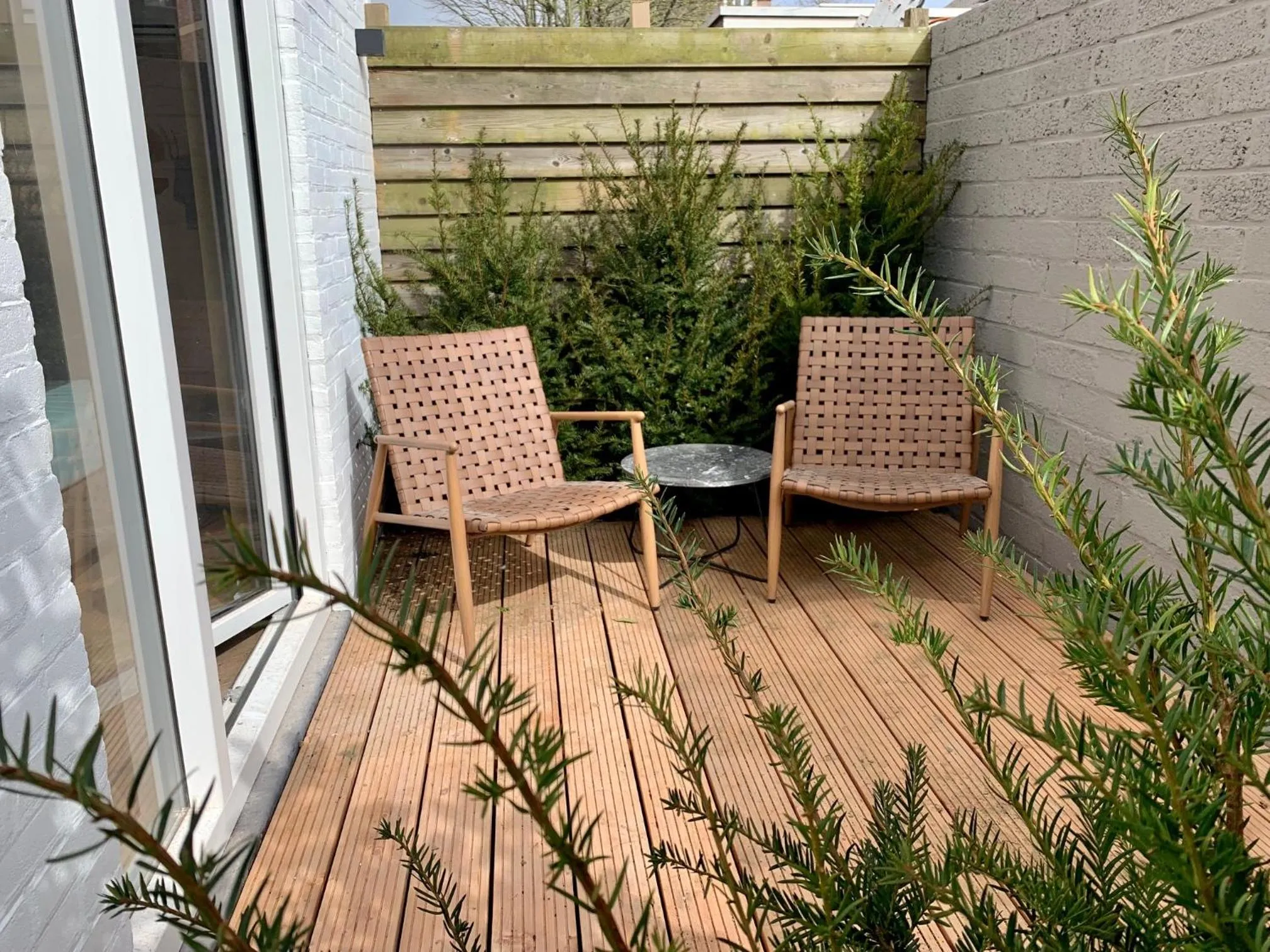 Patio in Hotel Janssen