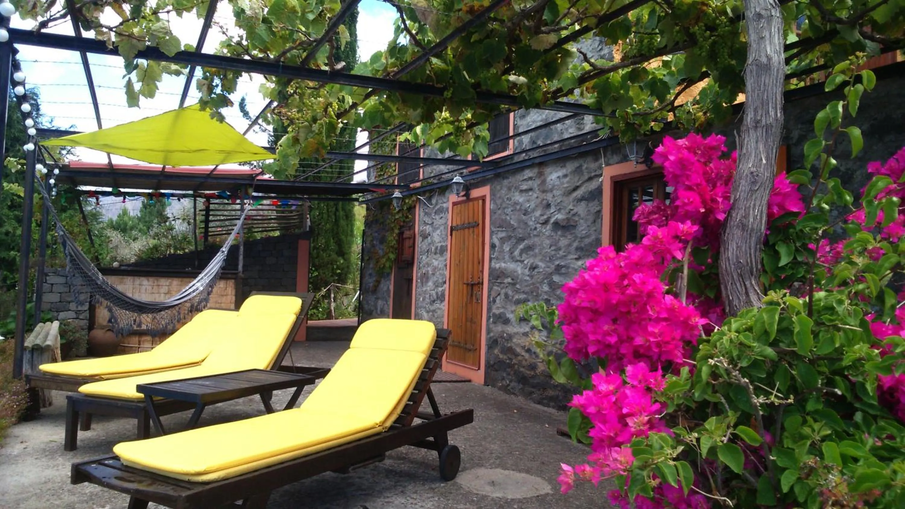 Garden in Ocean View Cottage