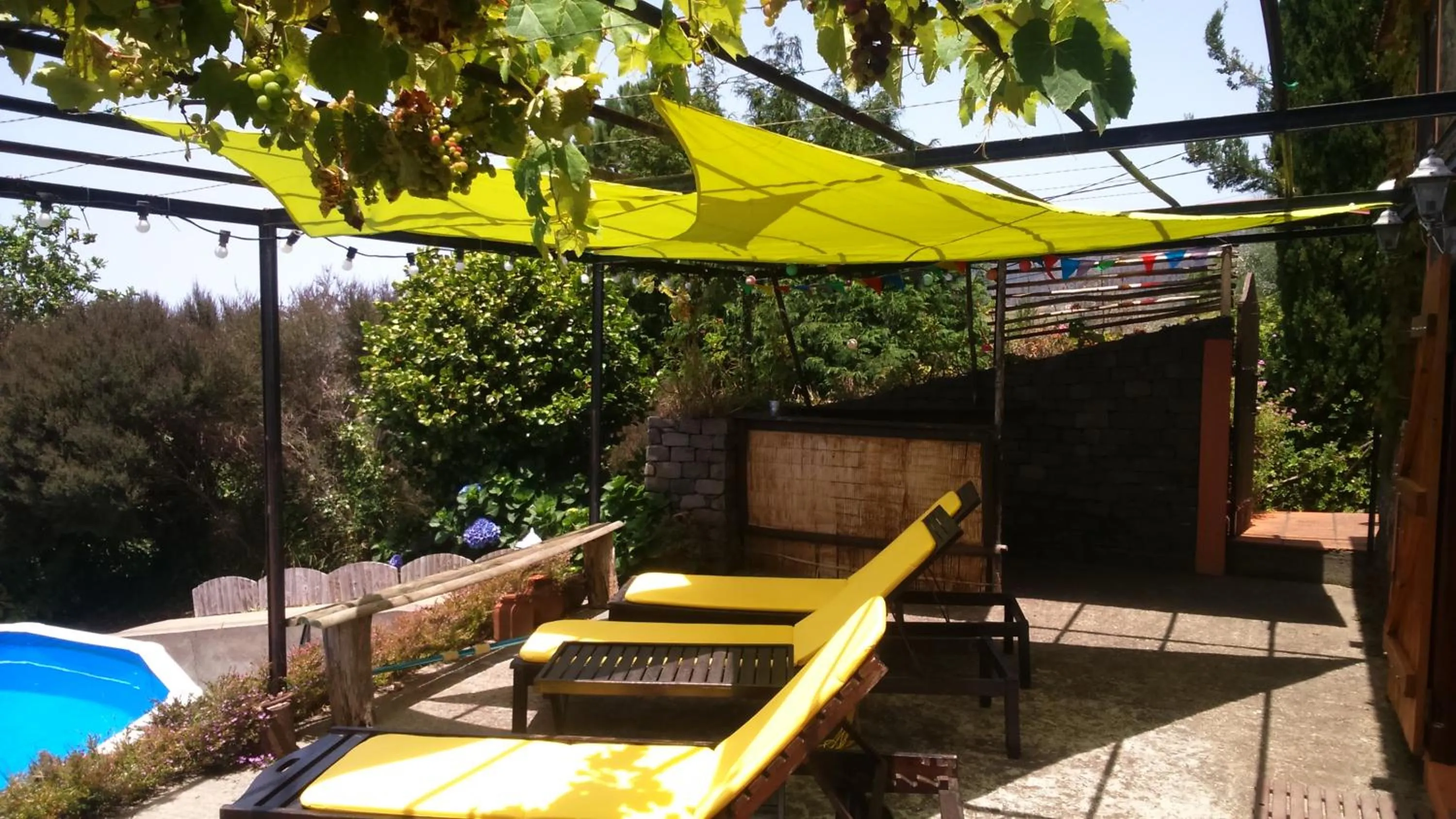 Garden in Ocean View Cottage