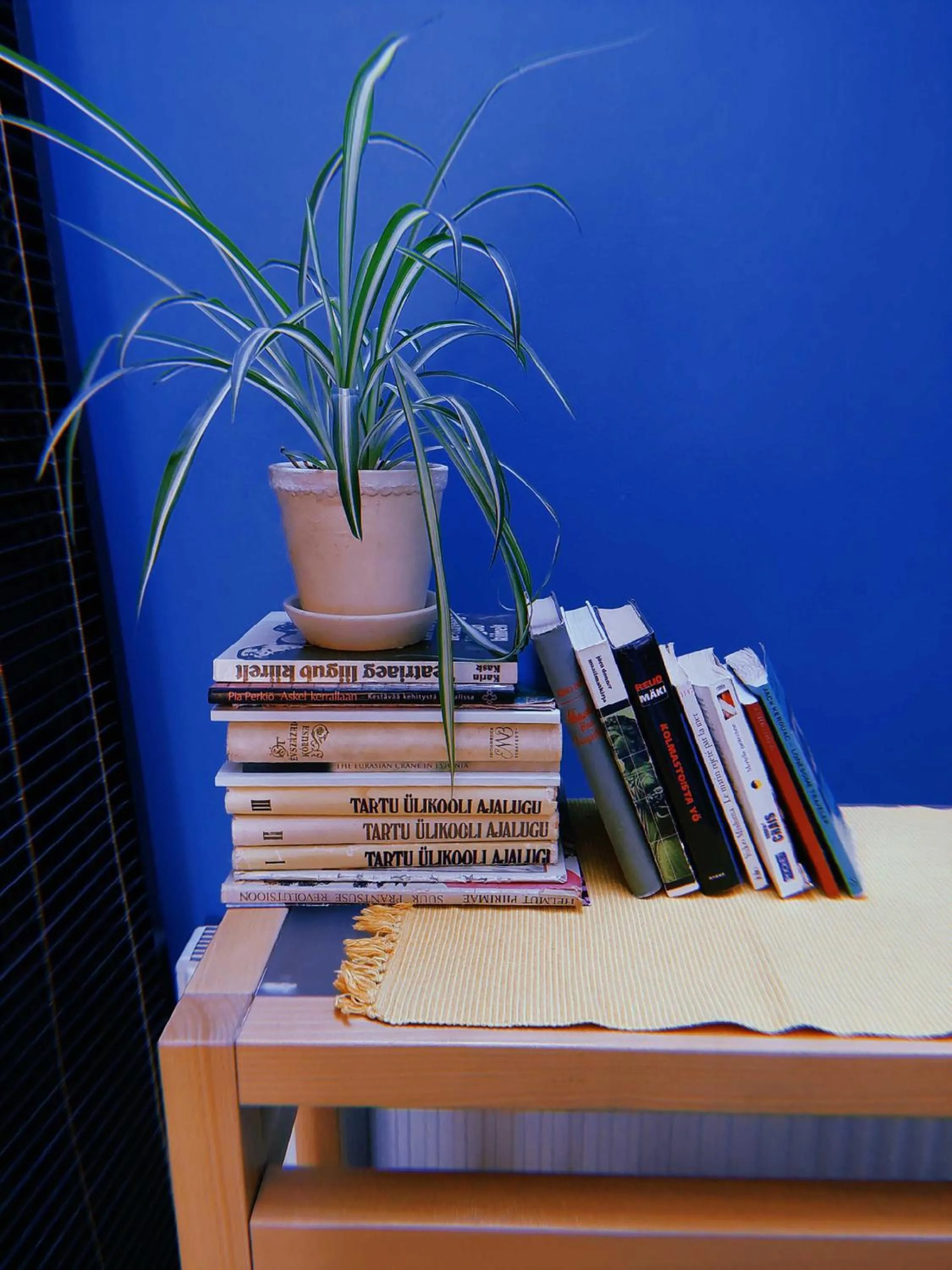 Library in Looming Hostel