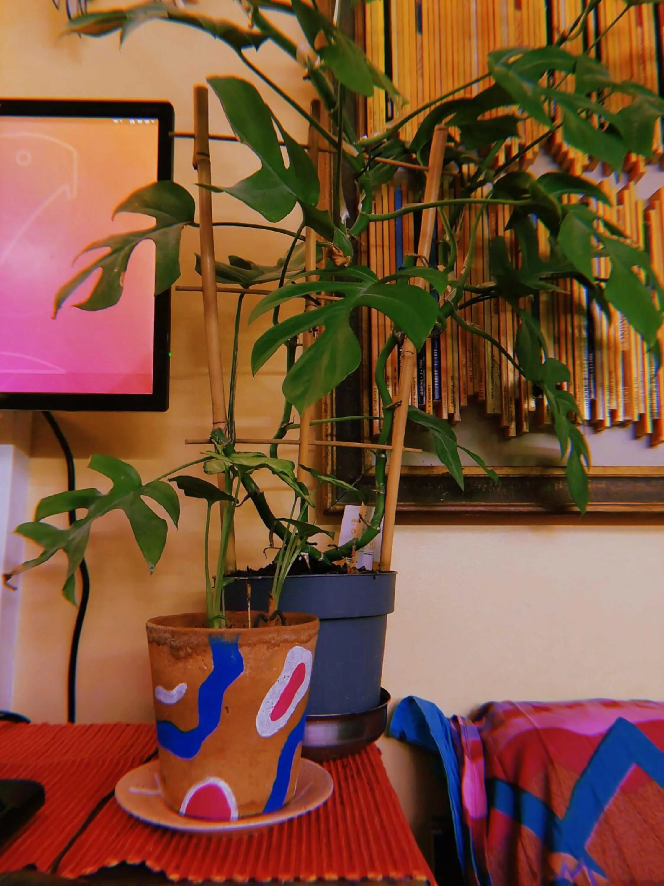 Communal lounge/ TV room in Looming Hostel