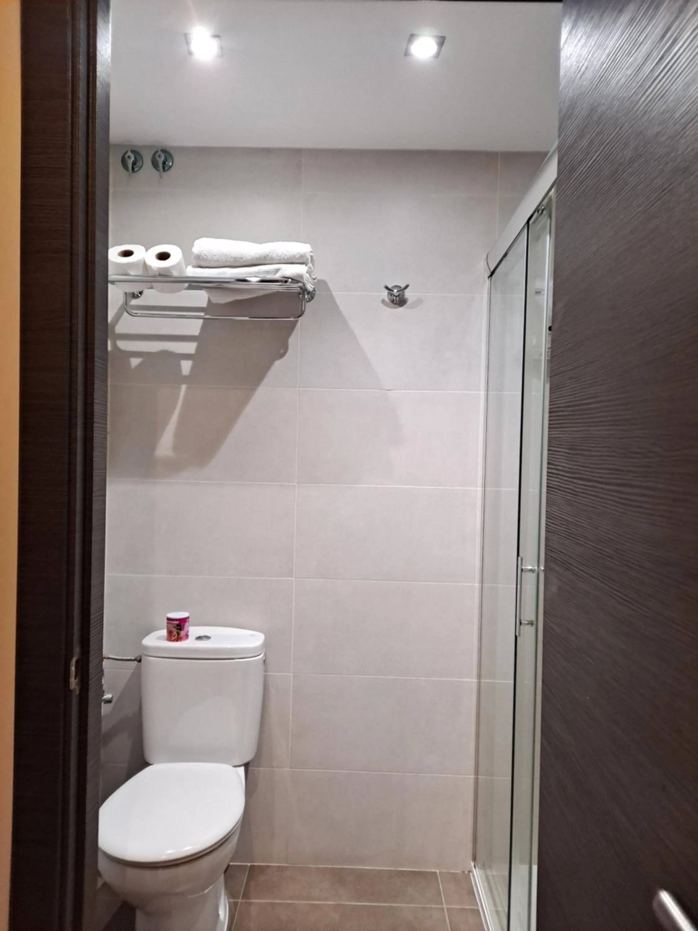 Toilet in Hostal Las Flores Ramblas