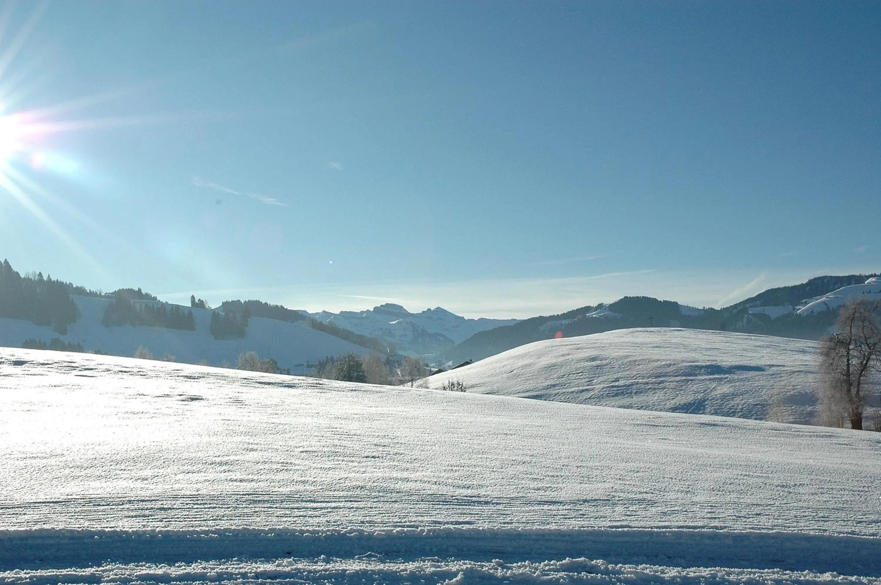 Natural landscape in B&B Ferienhof am See