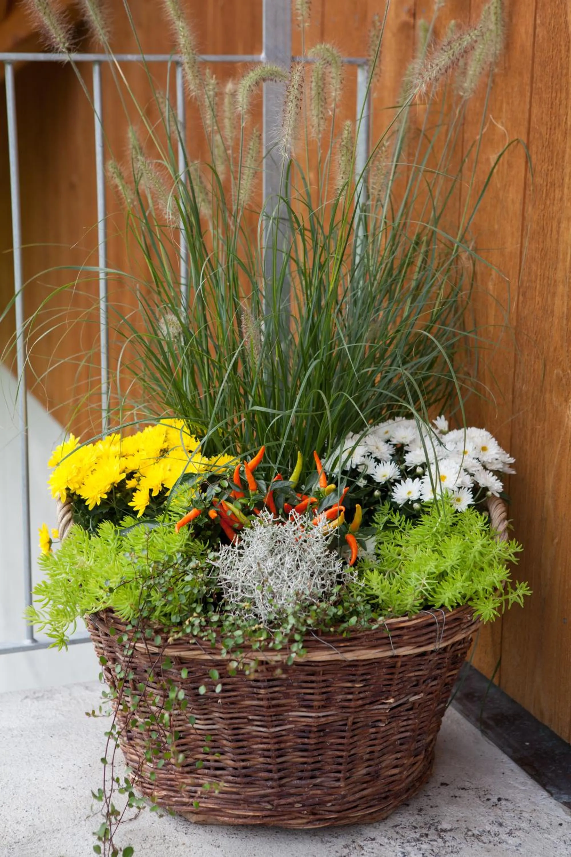 Other in B&B Ferienhof am See