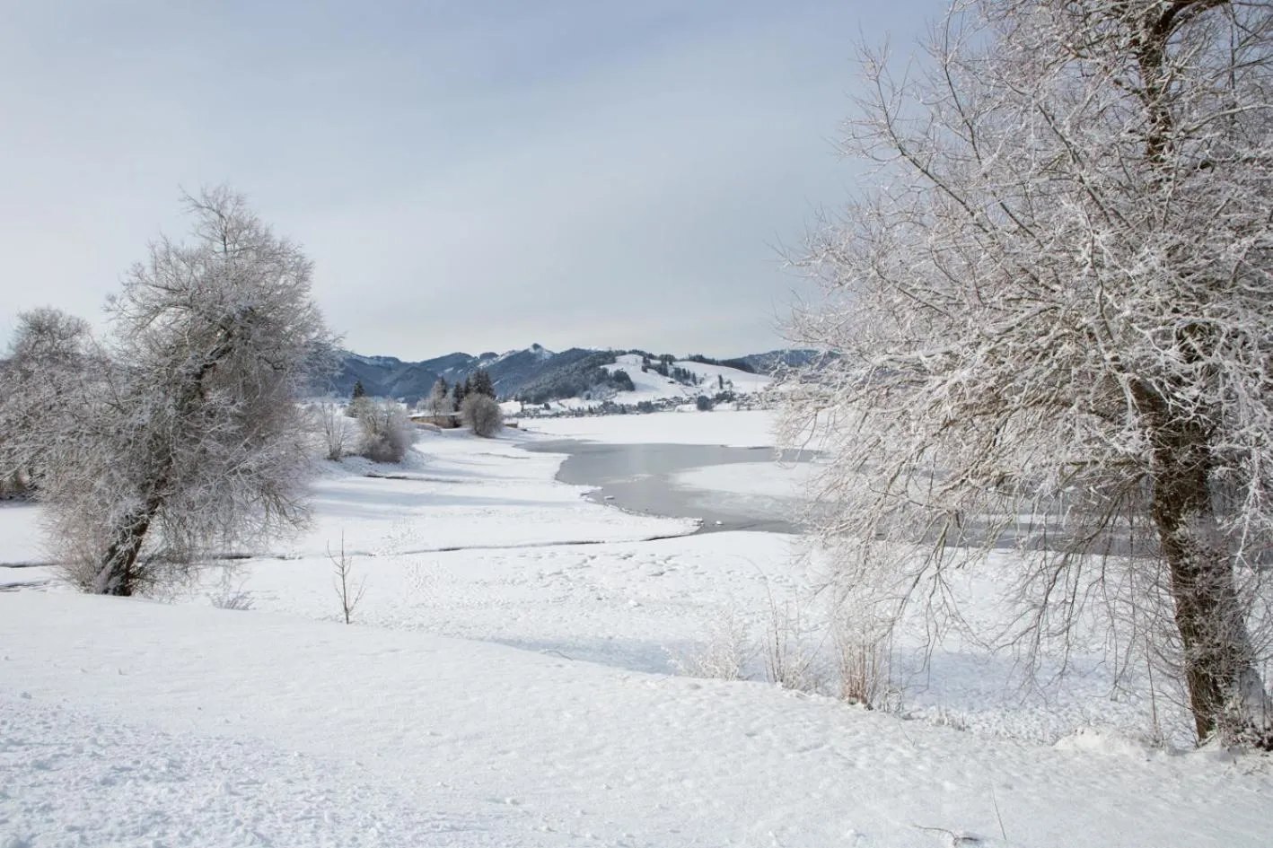Natural landscape in B&B Ferienhof am See