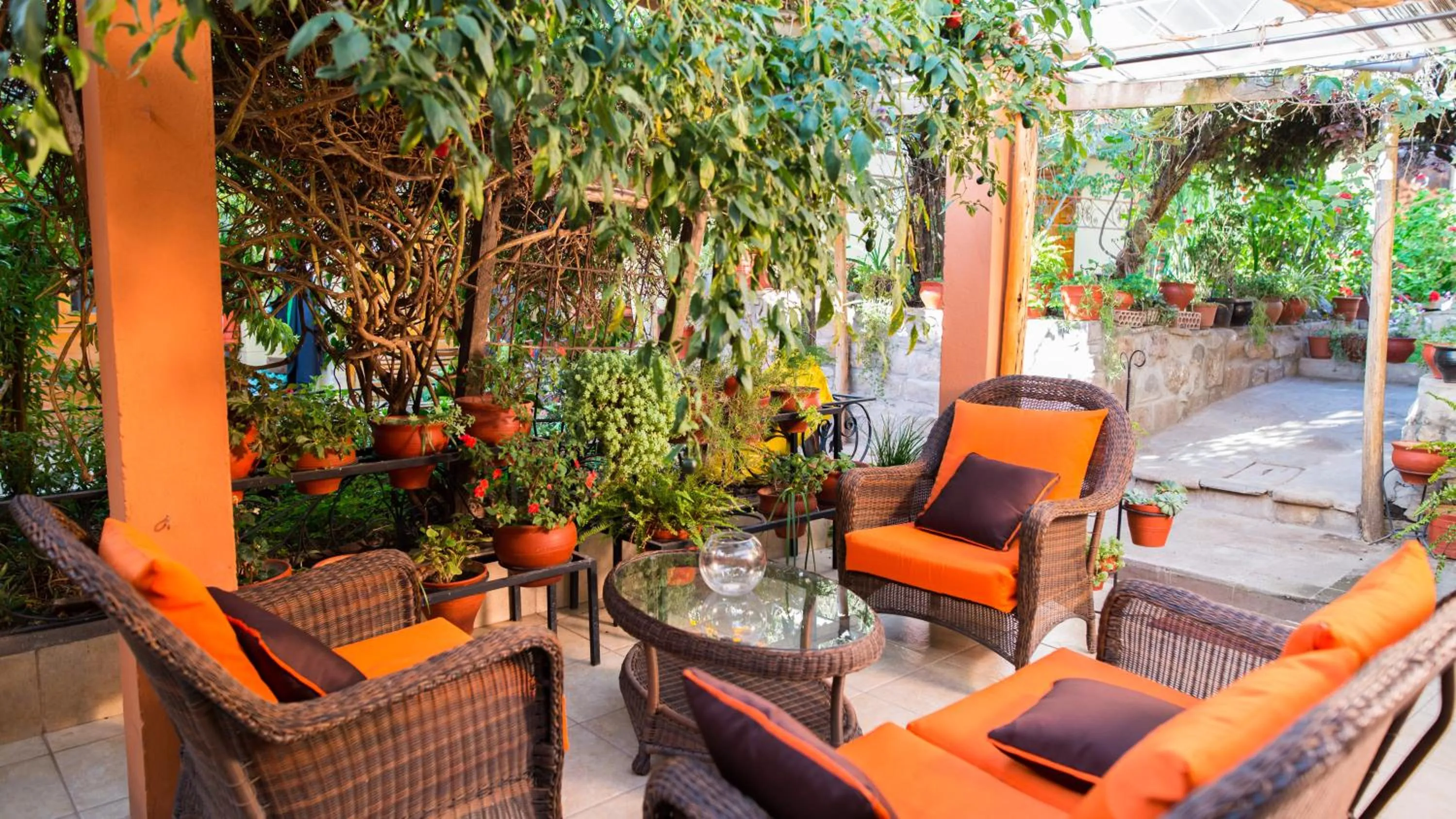 Patio in Hosteria de Anita