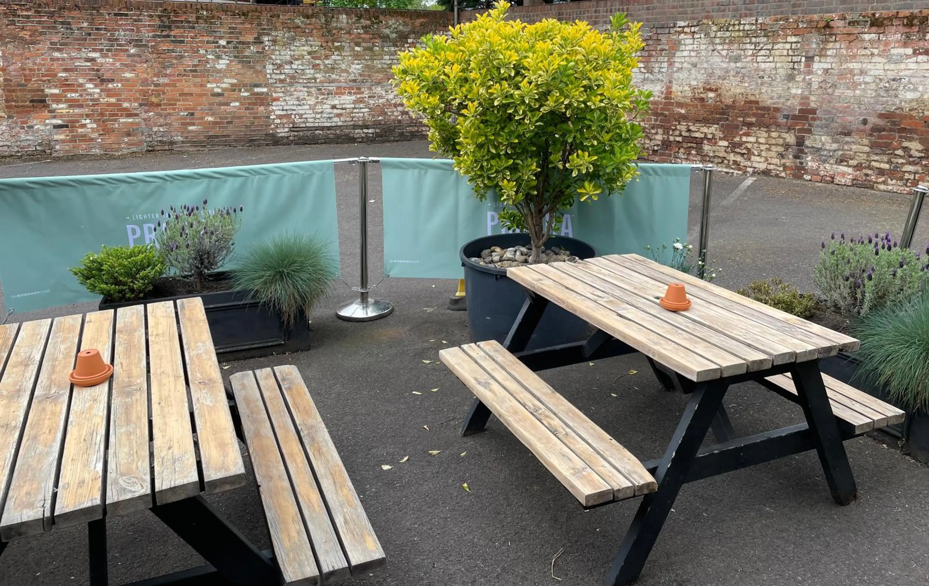 Garden in The Olde Swan Hotel