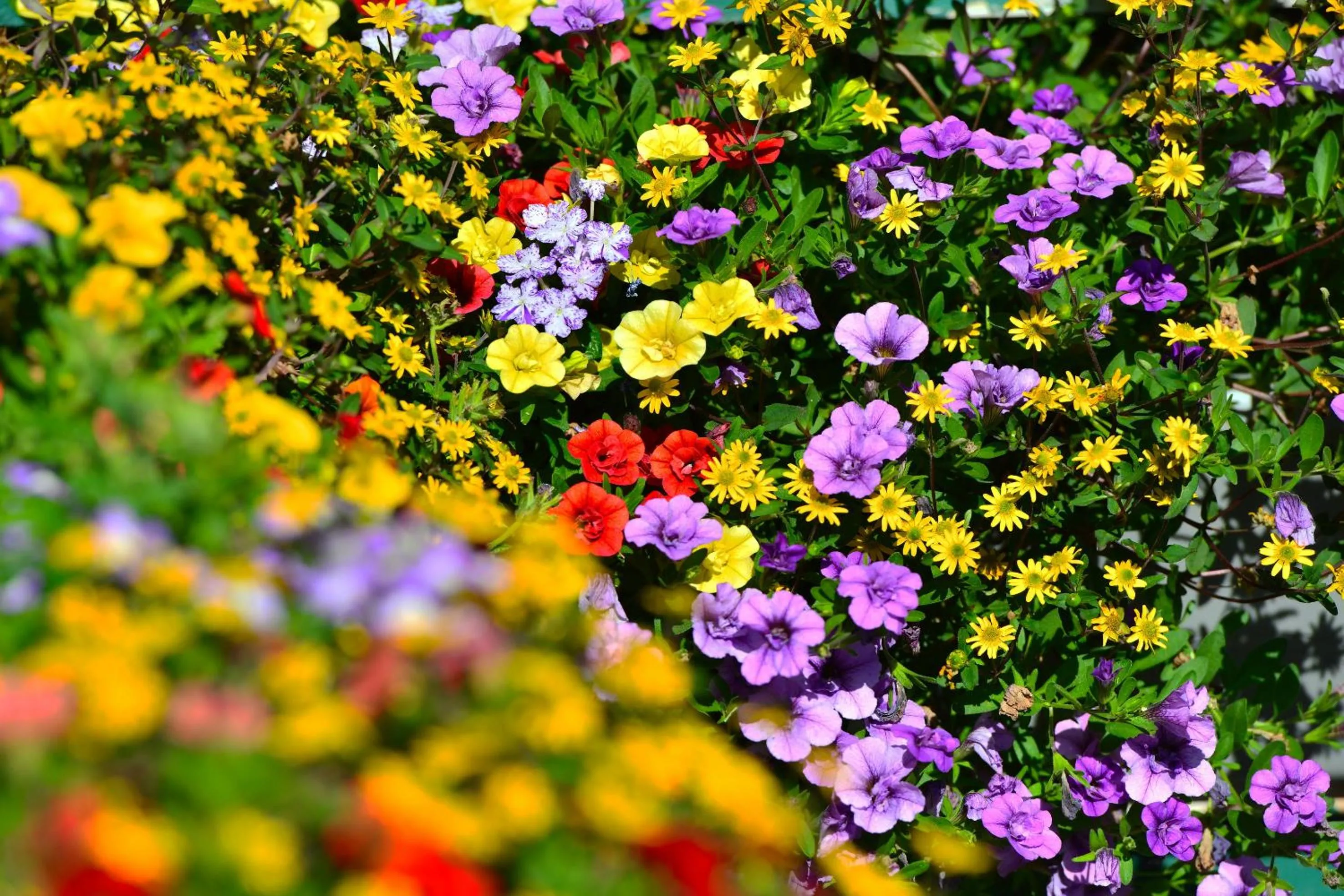 Garden in Landhotel Jungbrunnen