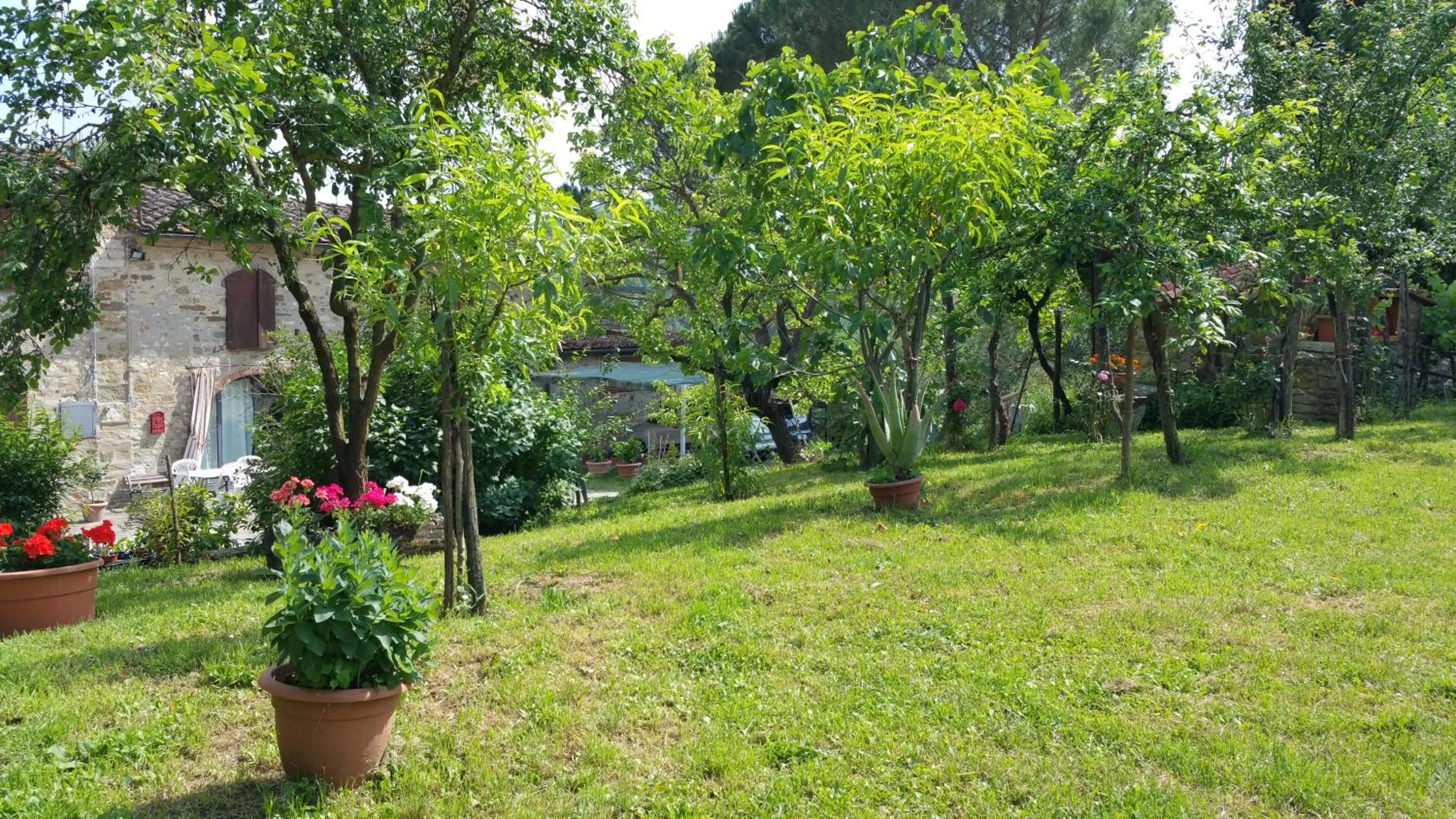Colonica Montebeni