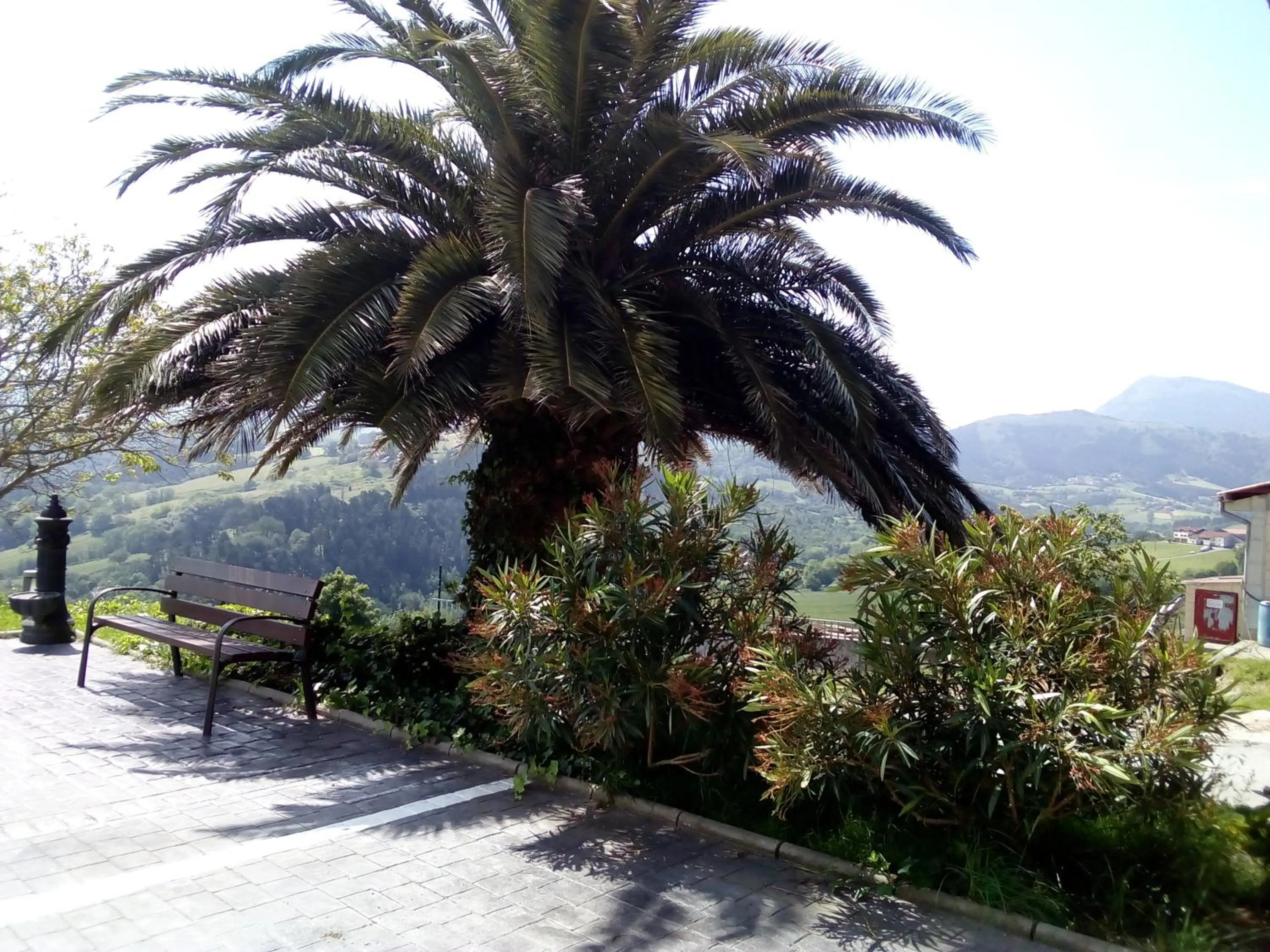 Garden in Endaneta Berri