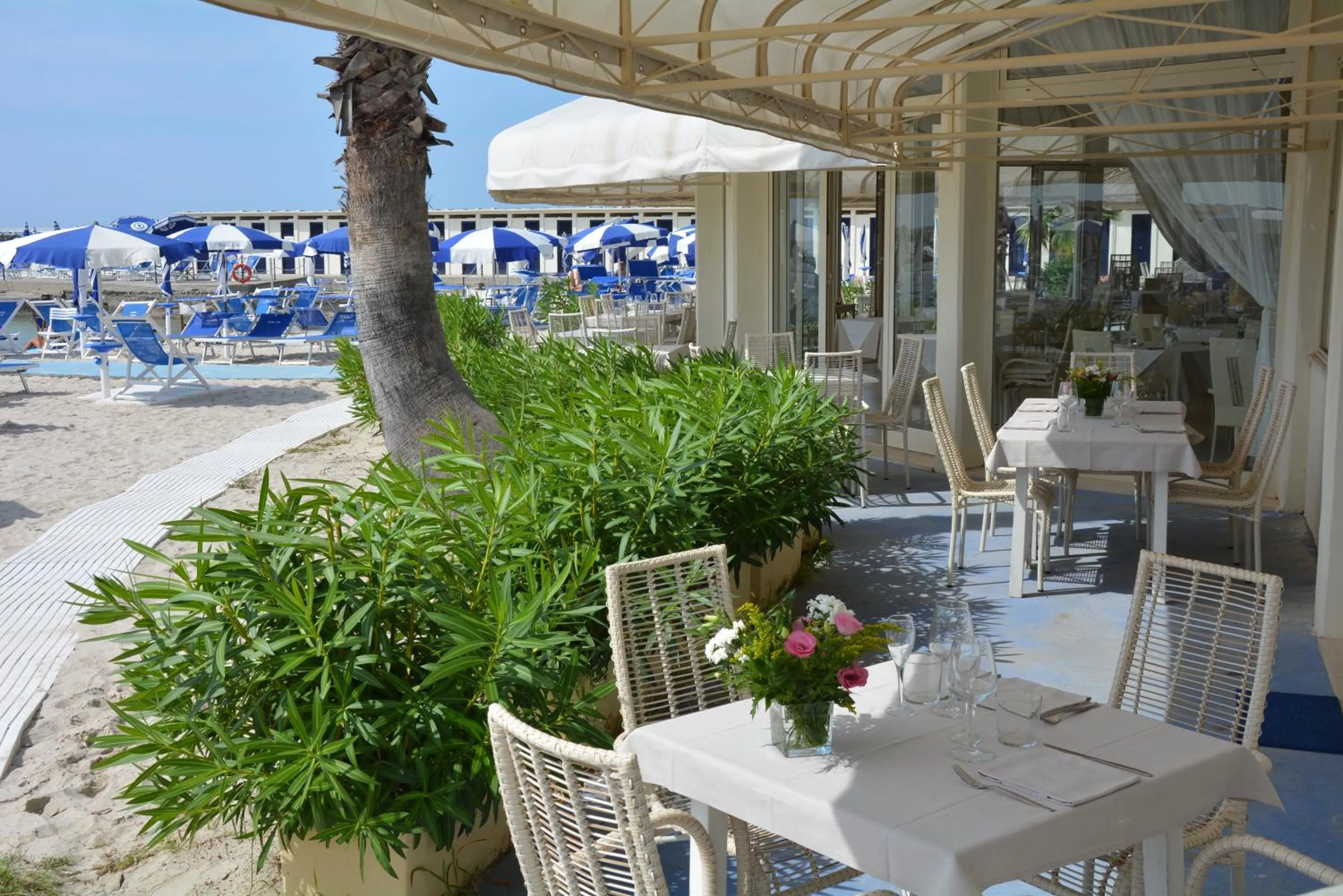 Restaurant/places to eat in Hotel Bagni Lido