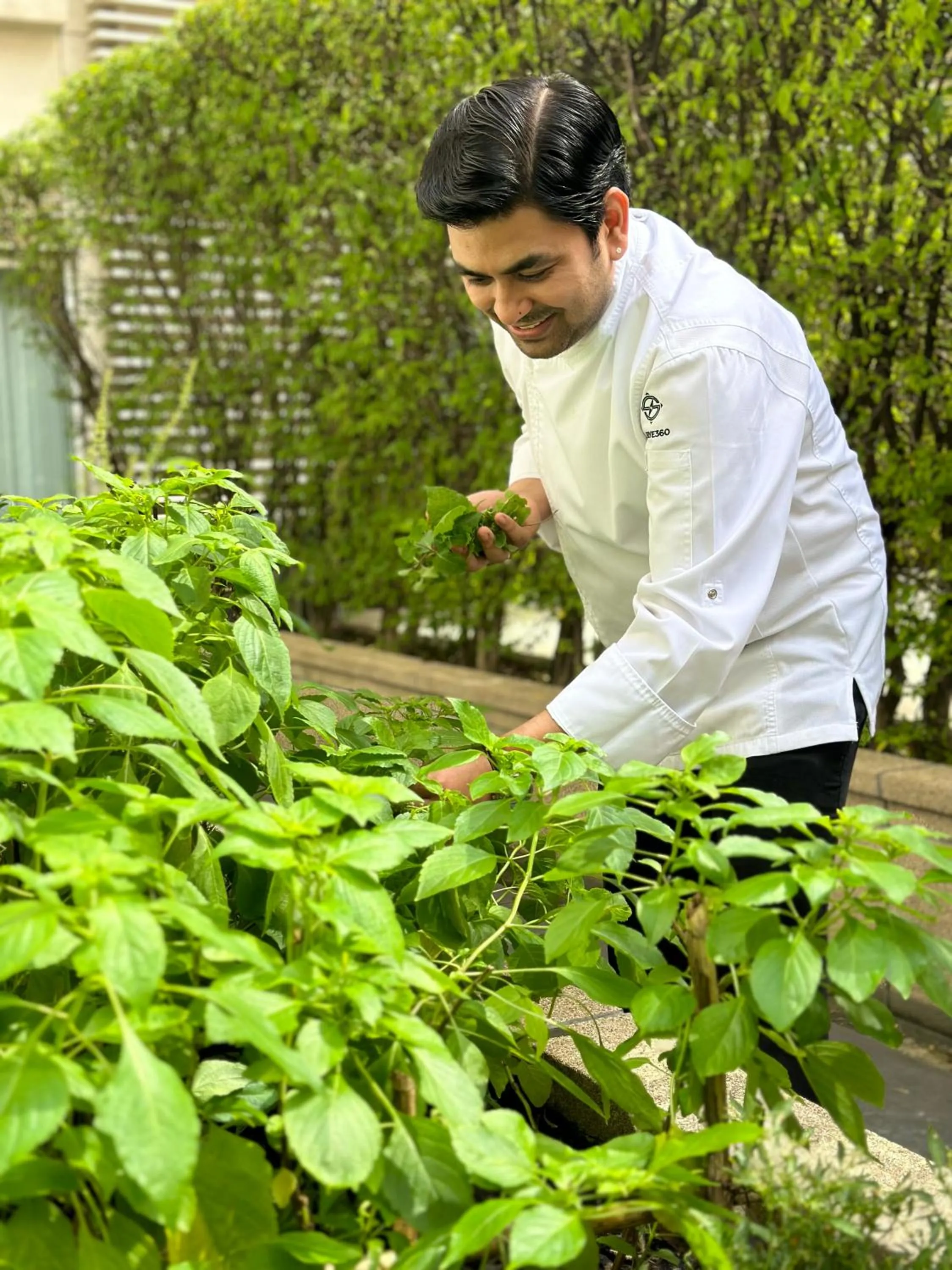 Garden in Courtyard by Marriott Bangkok