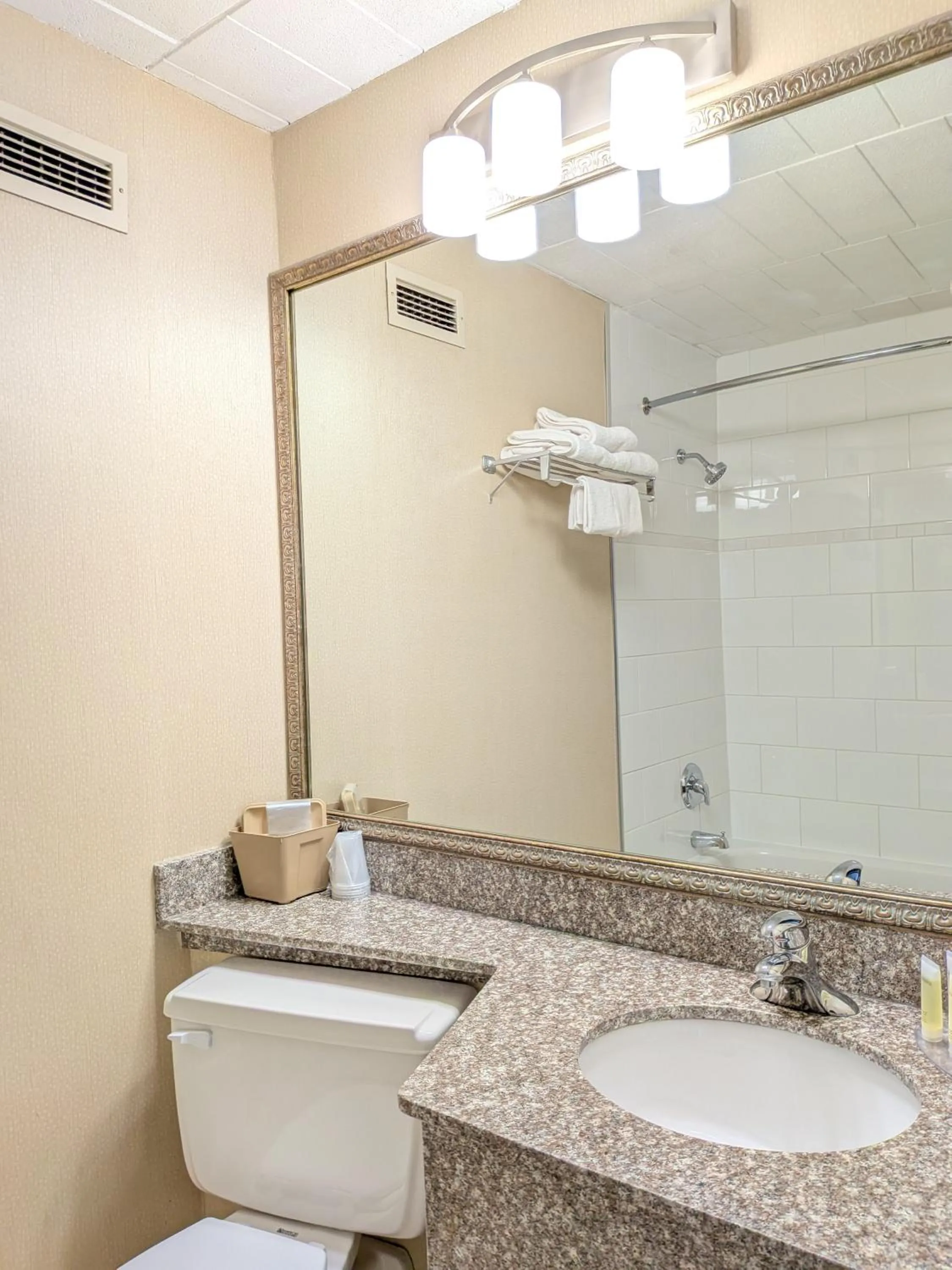 Toilet in Confederation Place Hotel