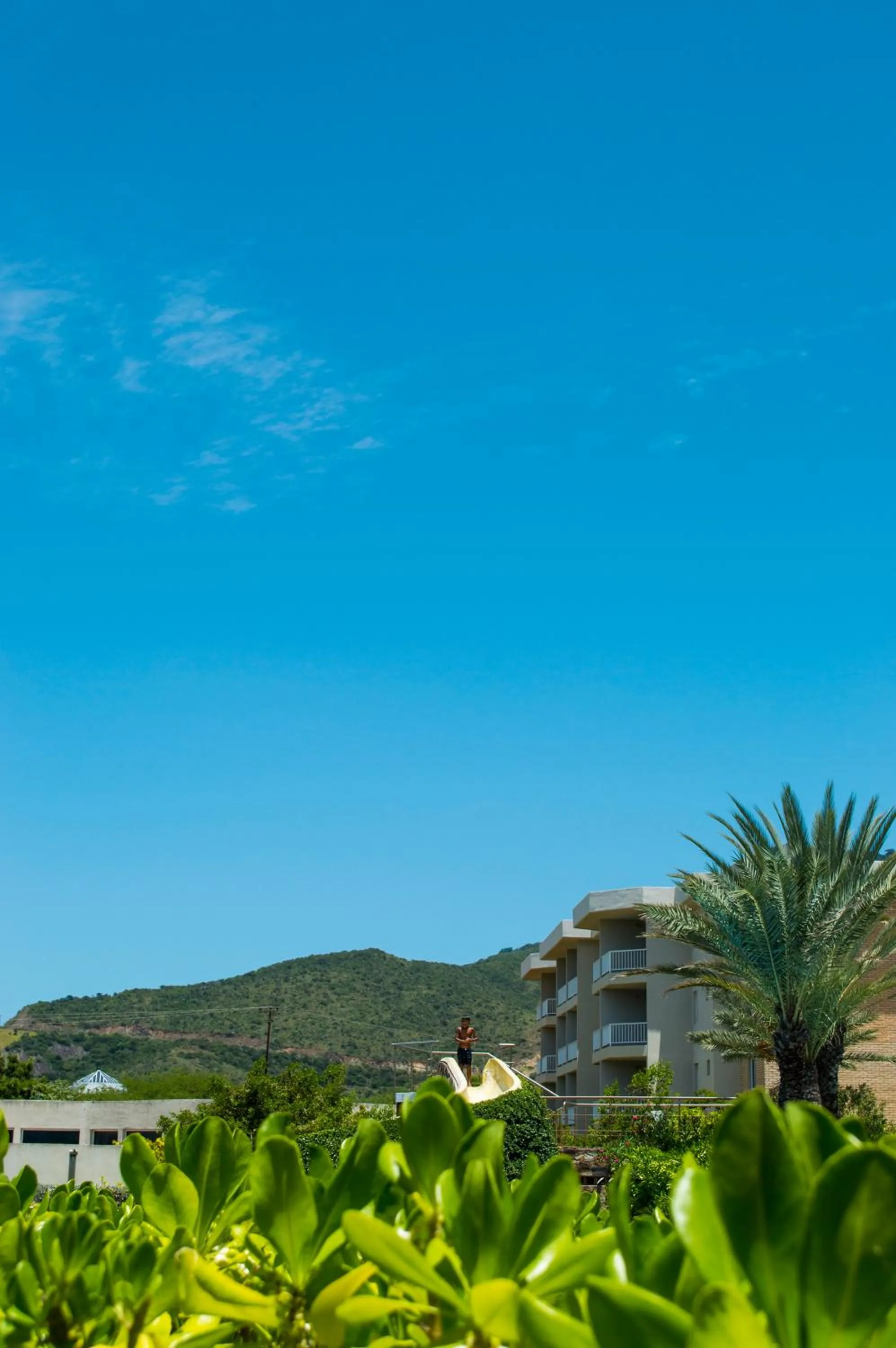 Garden in Club Punta Playa Hotel