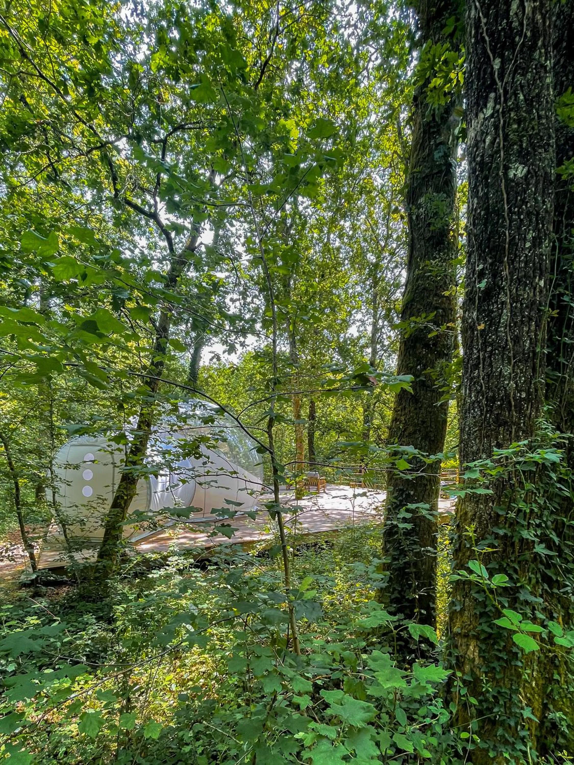 View (from property/room) in Les Bulles De Bordeaux