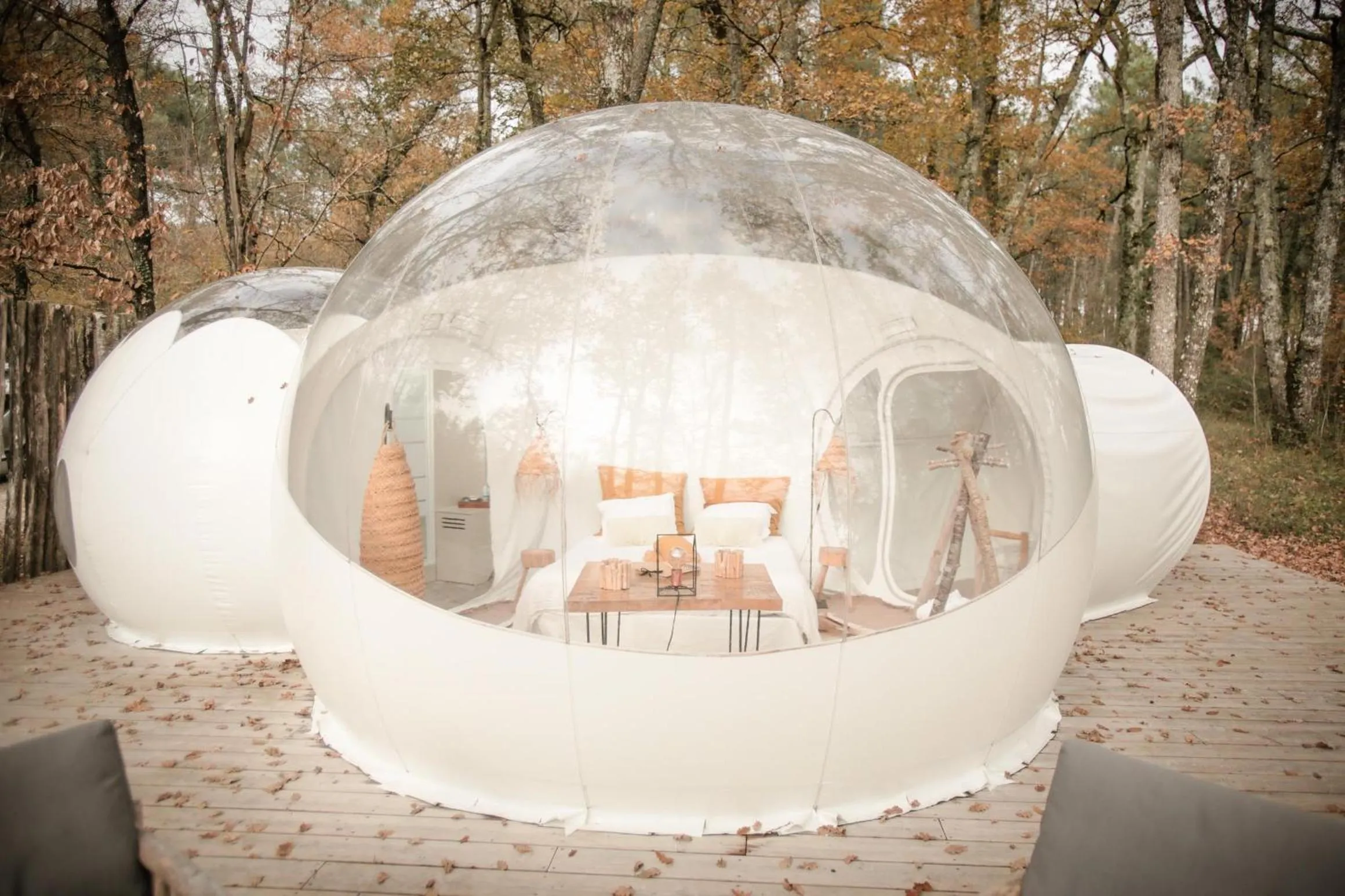 Photo of the whole room in Les Bulles De Bordeaux