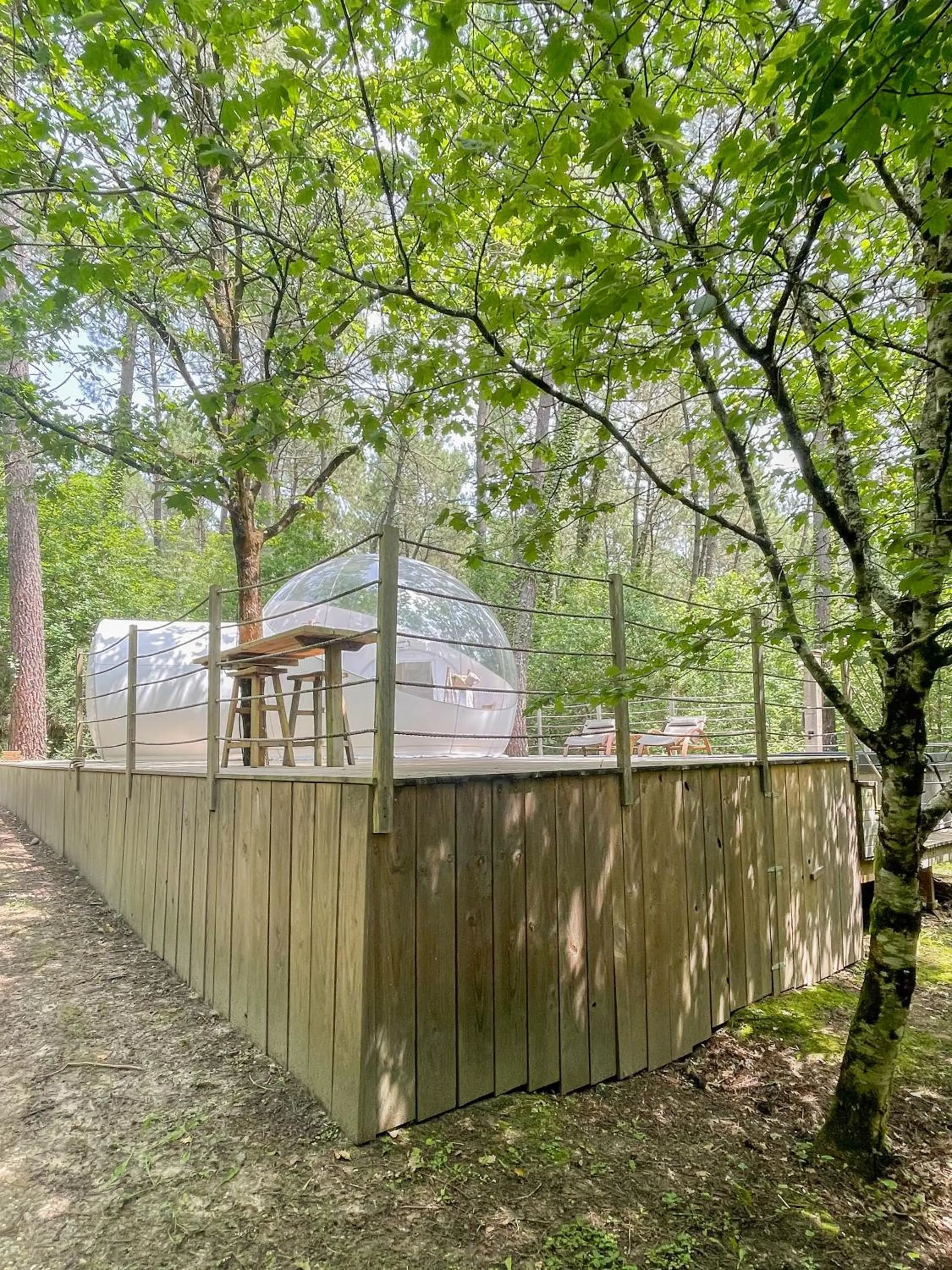 Photo of the whole room in Les Bulles De Bordeaux