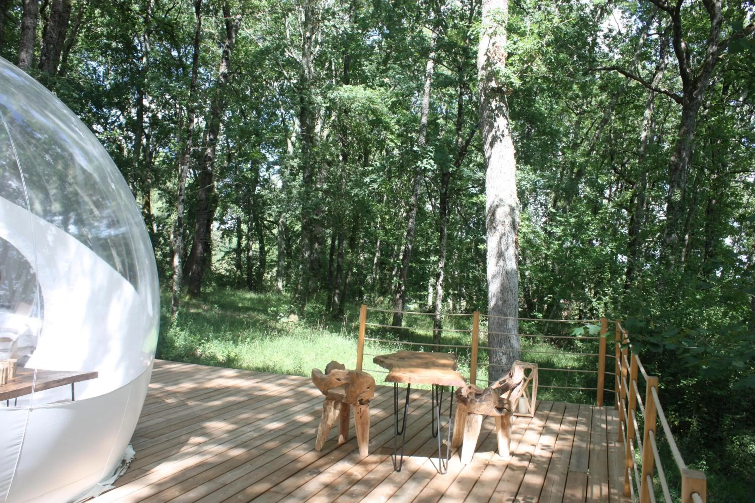 Garden in Les Bulles De Bordeaux