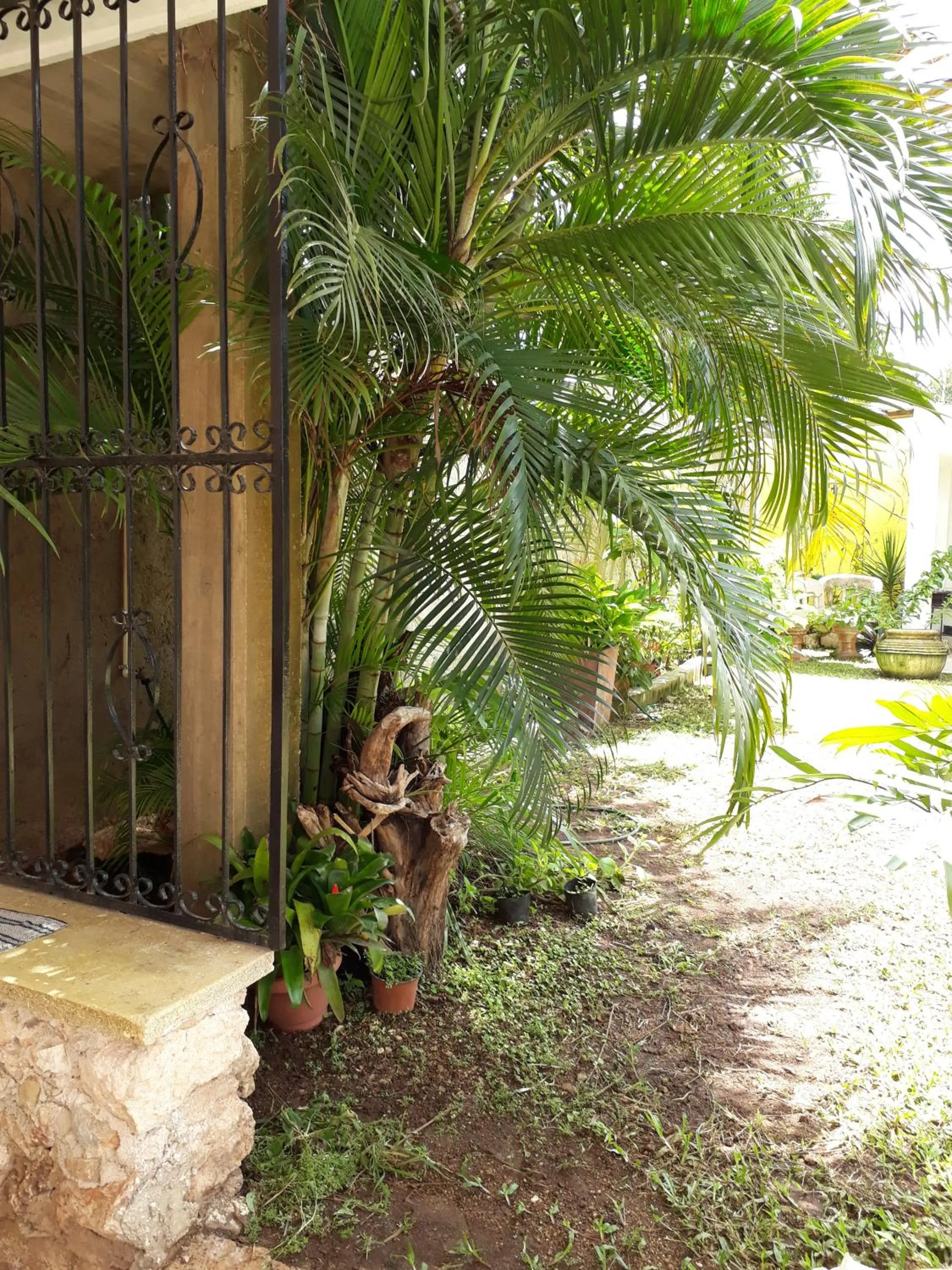 Casa de Ines y Victoria