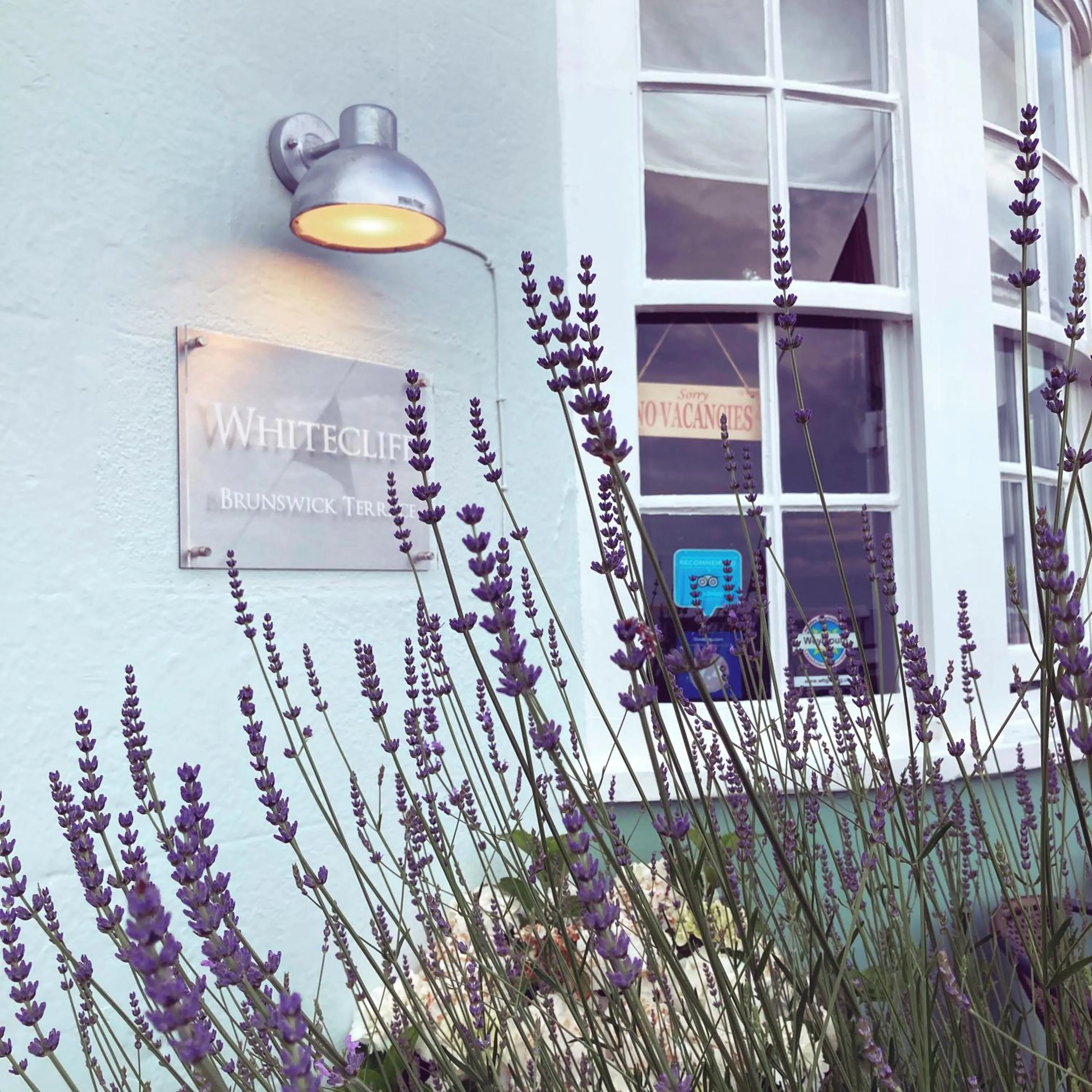 Whitecliff Guest House
