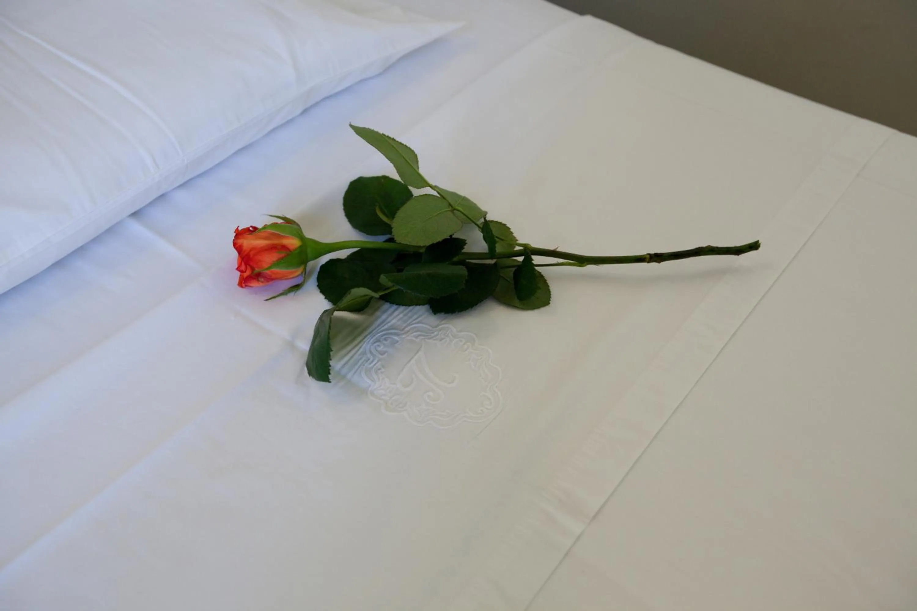 Decorative detail, Bed in Suites Pandora